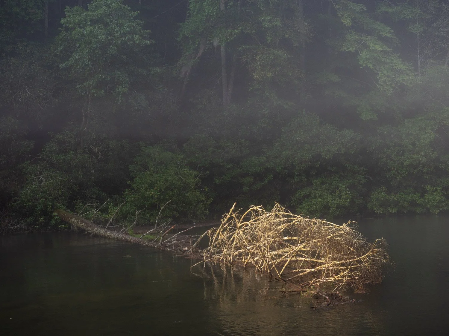 Phipott Dam 08-26-6.JPG