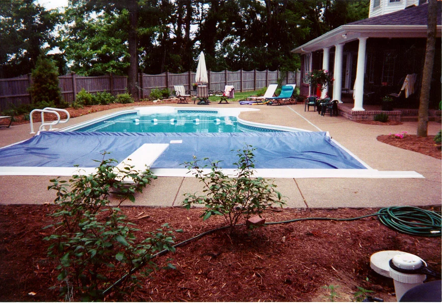Recessed Top Guide Shaped Pool.JPG