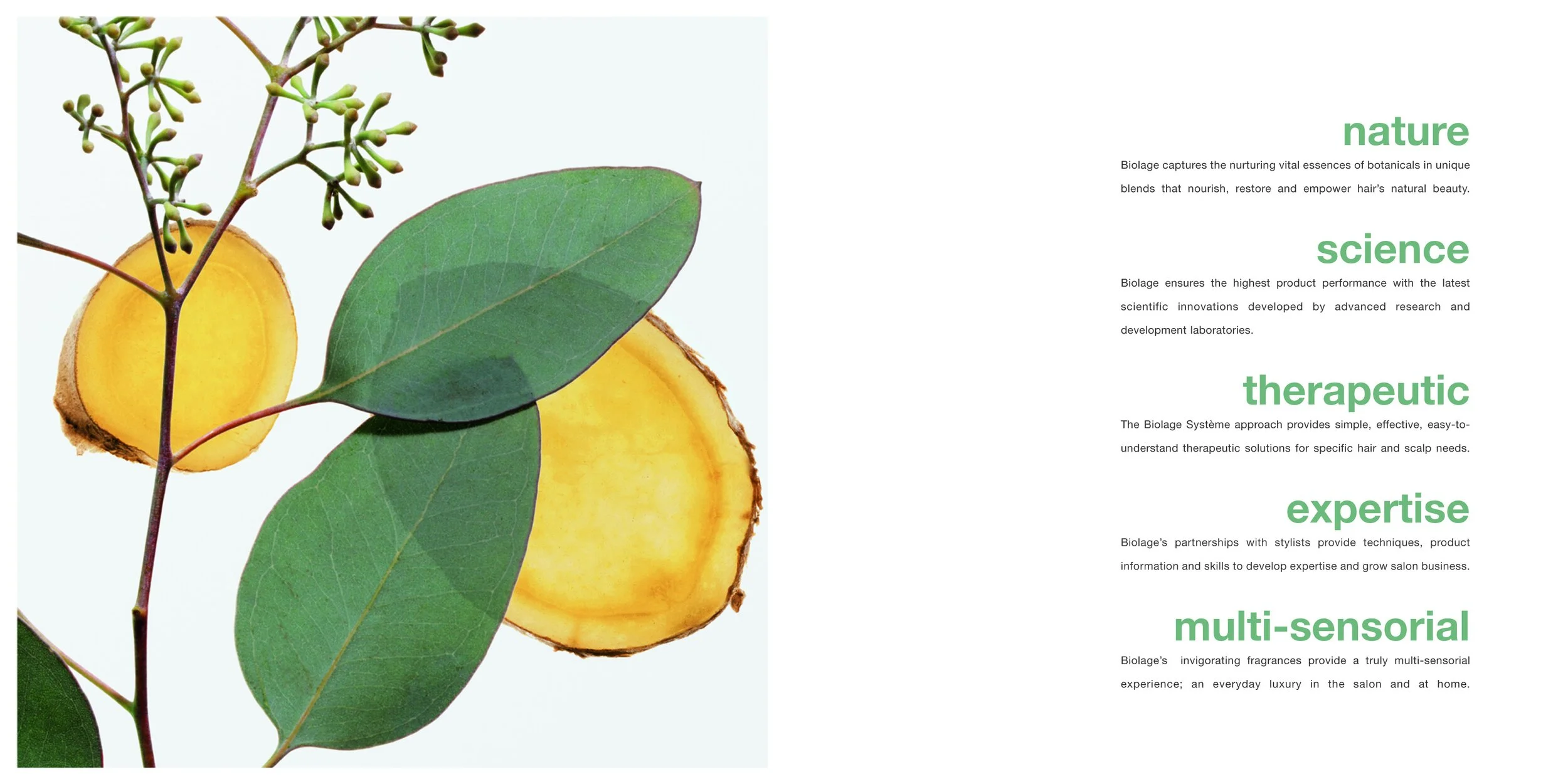 Page 3.jpg