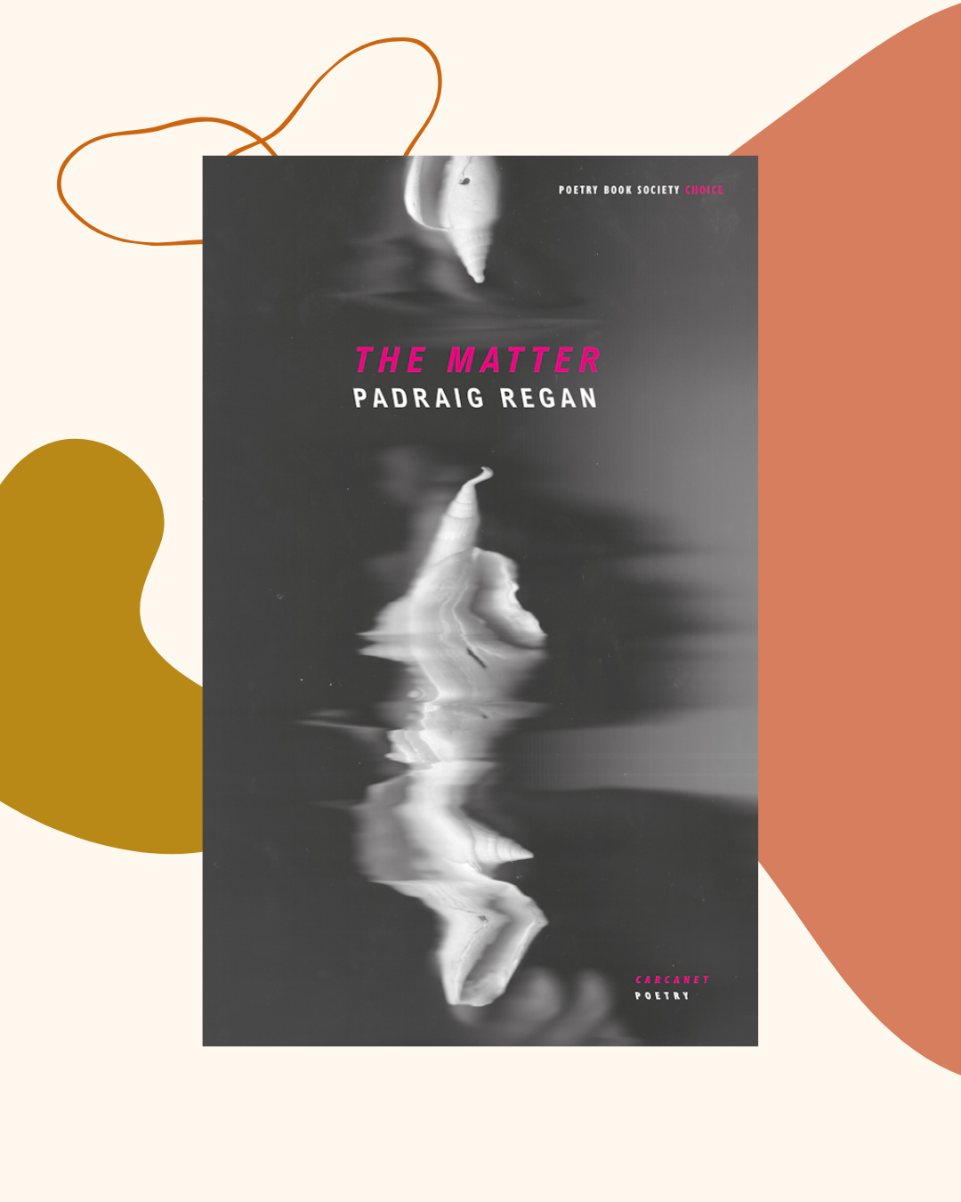 The Matter by Padraig Regan
