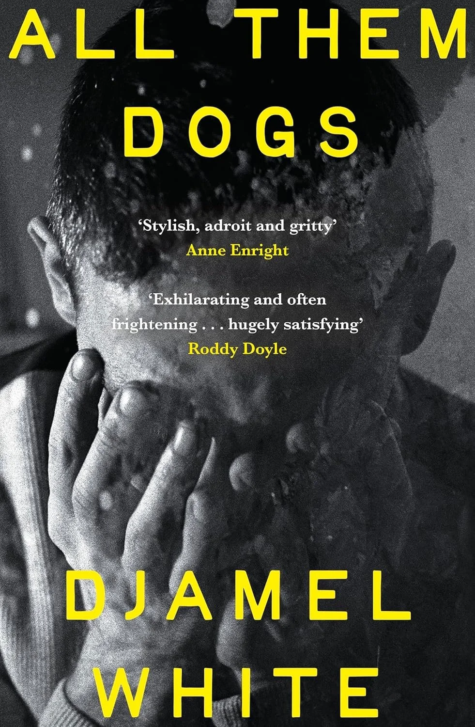 All Them Dogs Stock Image.jpg