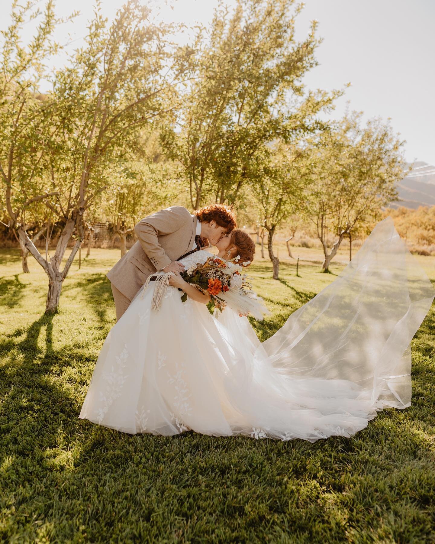 Fall wedding magic 🤍🍁✨

Such a joy to capture this sweet wedding 🥹 I&rsquo;m so grateful to be such a special part of the most wonderful days ✨

#utahweddingphotographer #utahelopementphotographer #pnwphotographer #pnwweddingphotographer #utahwedd