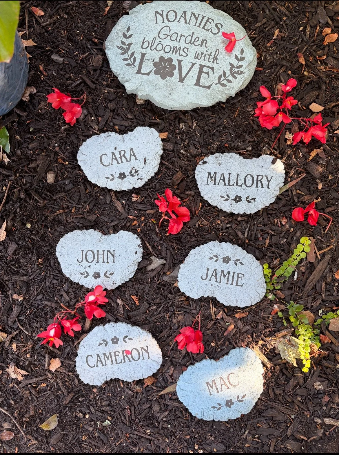 Screenshot 2025-10-14 at 9.08.47 AM.jpeg