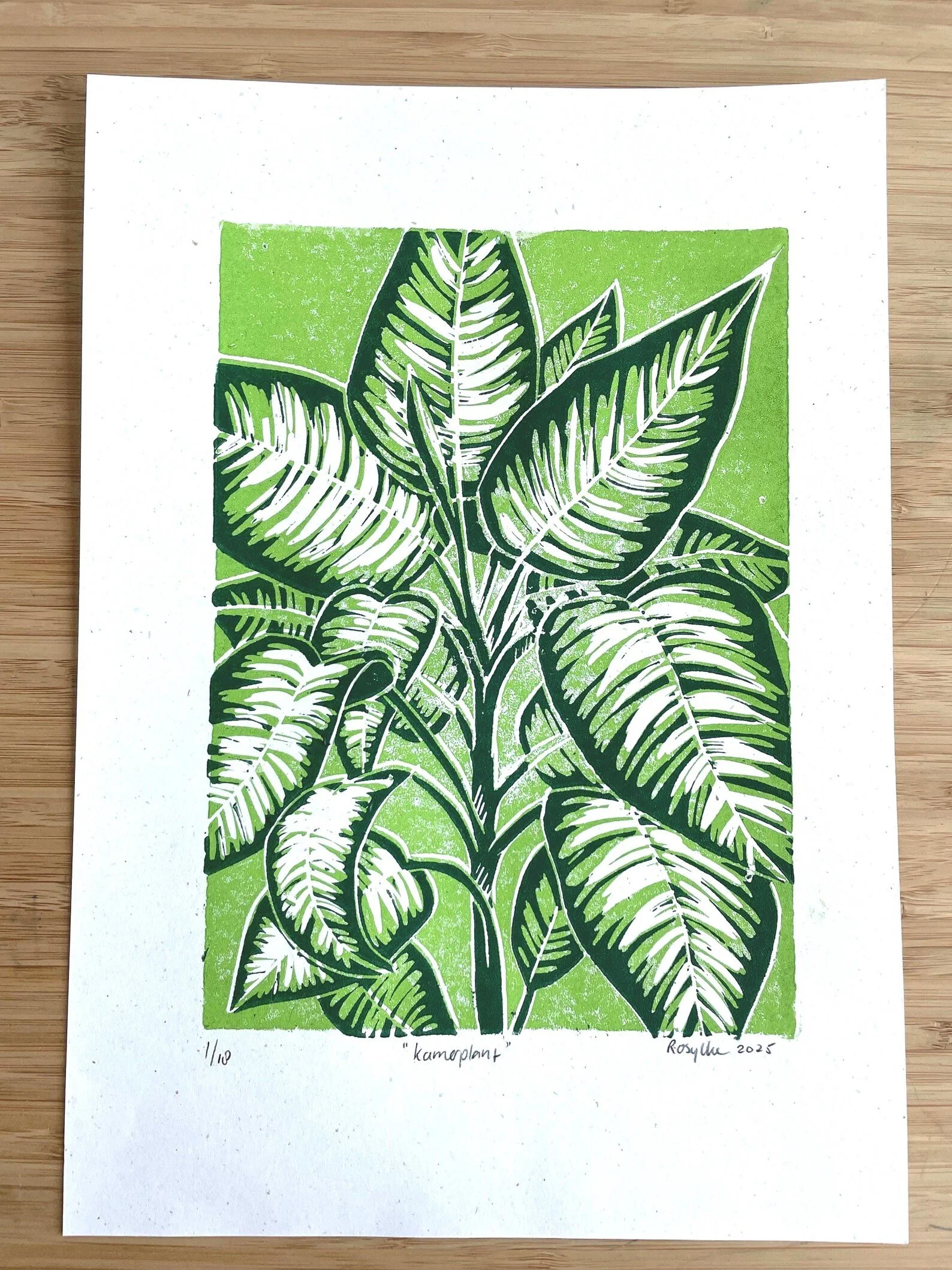 linprint 'kamerplant' 2025