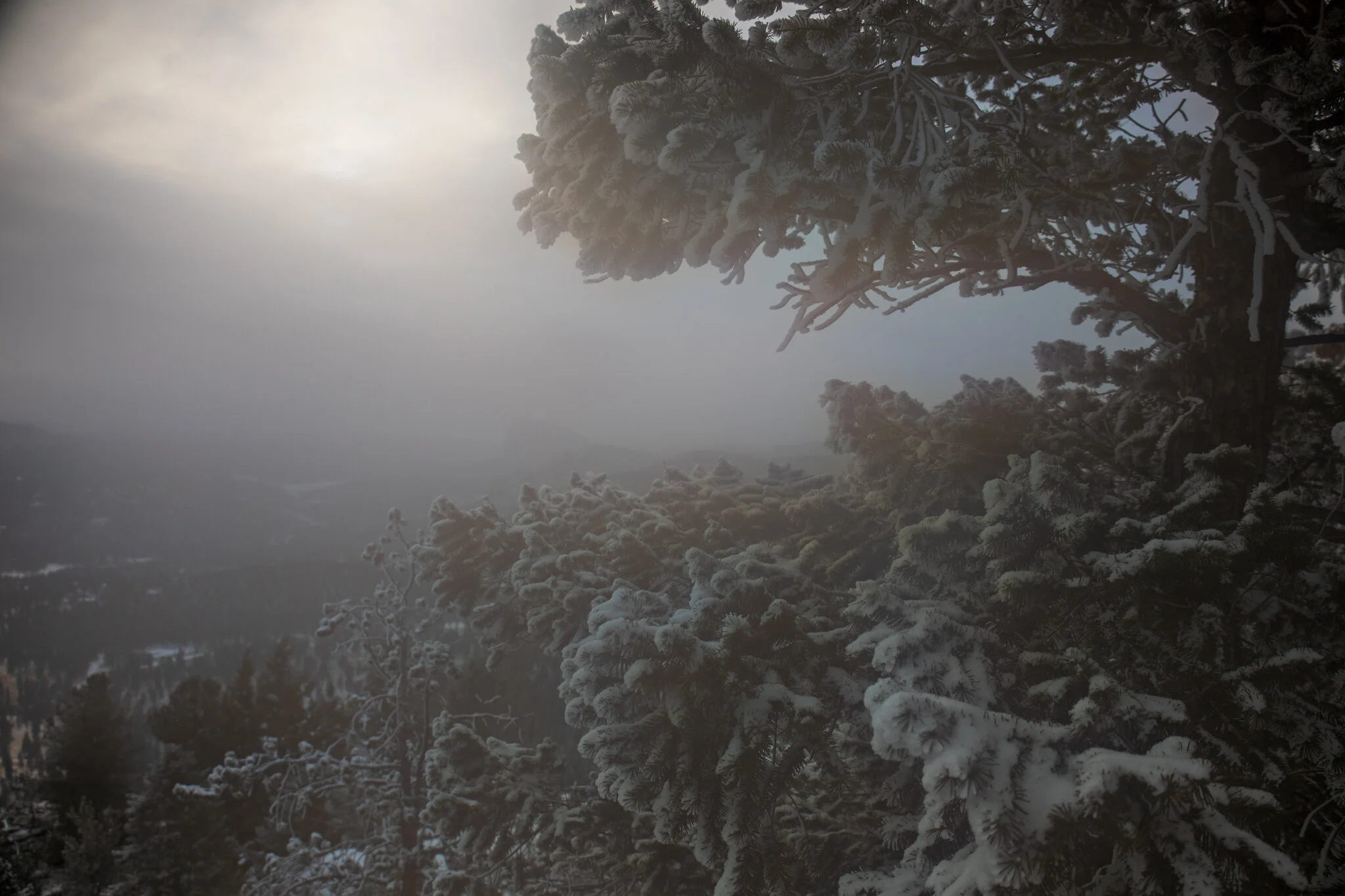 Lion’s Head in the distance.