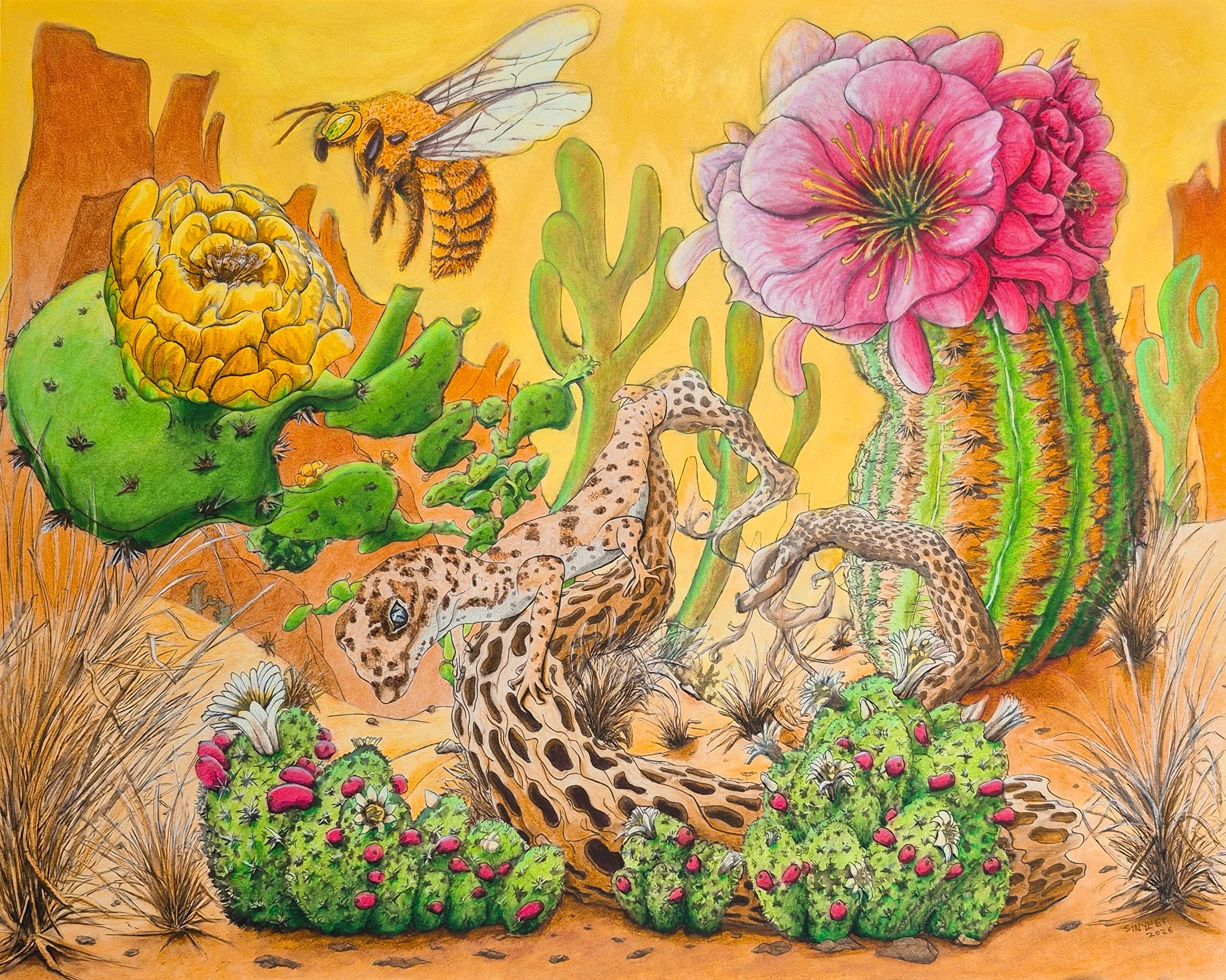 Texas Sunset.  20x16", colored pencils & alcohol markers, 2026.