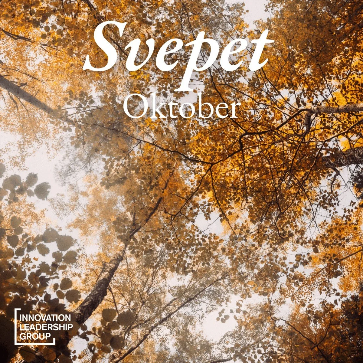 💌 Oktober är snart slut och här kommer några av de bästa länkarna med olika hur-relaterade saker som inspirerat och upplyst oss på ILG den här månaden. Håll till godo!
🛠 Antikrångel-rapporten