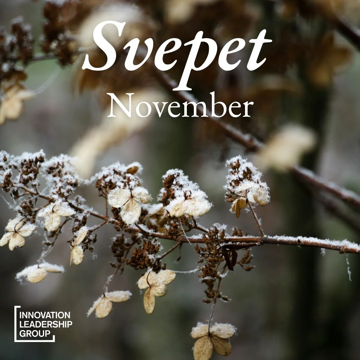 H&auml;r kommer November-svepet med olika hur-relaterade saker som inspirerat och upplyst oss p&aring; ILG den h&auml;r m&aring;naden. L&auml;nkar i bio. H&aring;ll till godo!

🗽 New Yorks nya borgm&auml;stare Zohran Mamdani &auml;r den yngste borgm