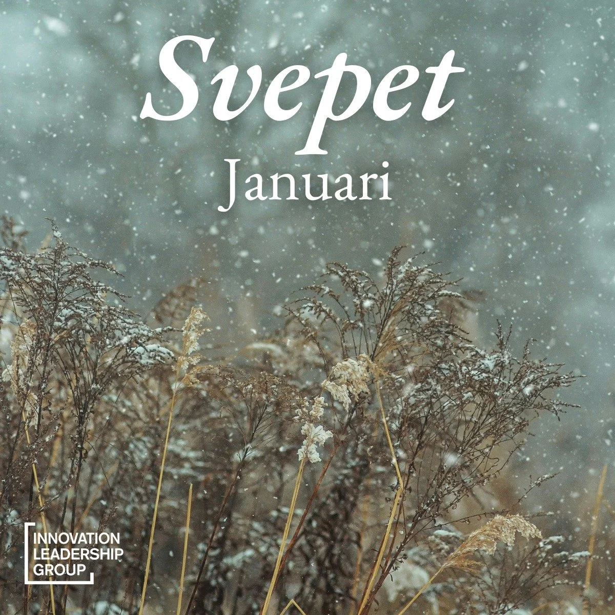 &Aring;rets f&ouml;rsta m&aring;nad b&ouml;rjar g&aring; mot sitt slut och vi summerar januari med ett svep med olika &ldquo;hur-relaterade&rdquo; saker som v&auml;ckt nyfikenhet, skapat perspektiv och gett oss nya insikter hos oss p&aring; ILG!�

De