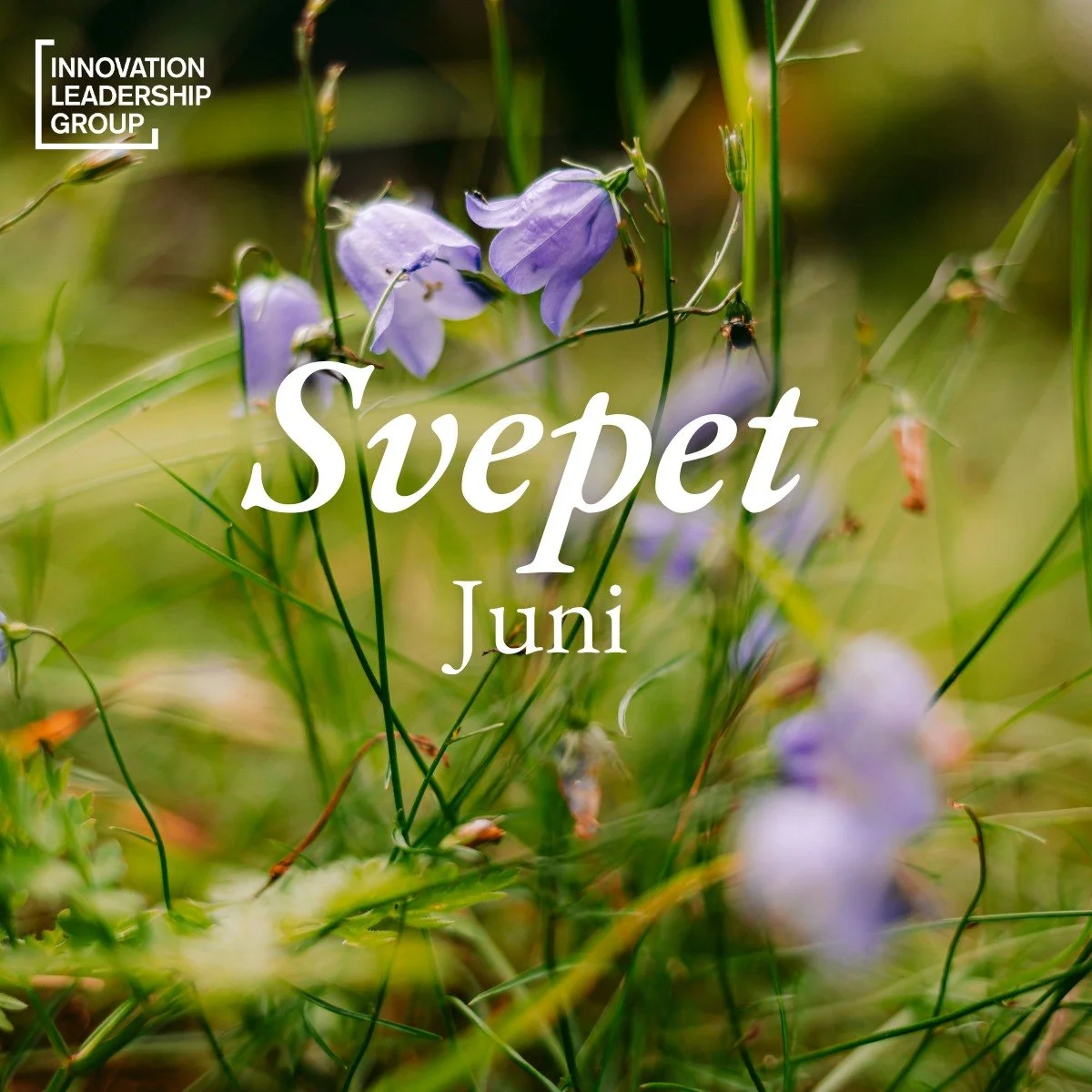 Glad sommar och tack! ☀️

Innan vi g&aring;r p&aring; semester vill vi passa p&aring; att tacka f&ouml;r en inspirerande v&aring;r och &ouml;nska er en riktigt h&auml;rlig sommar. H&auml;r kommer terminens sista Svep med hur-relaterade spaningar som 