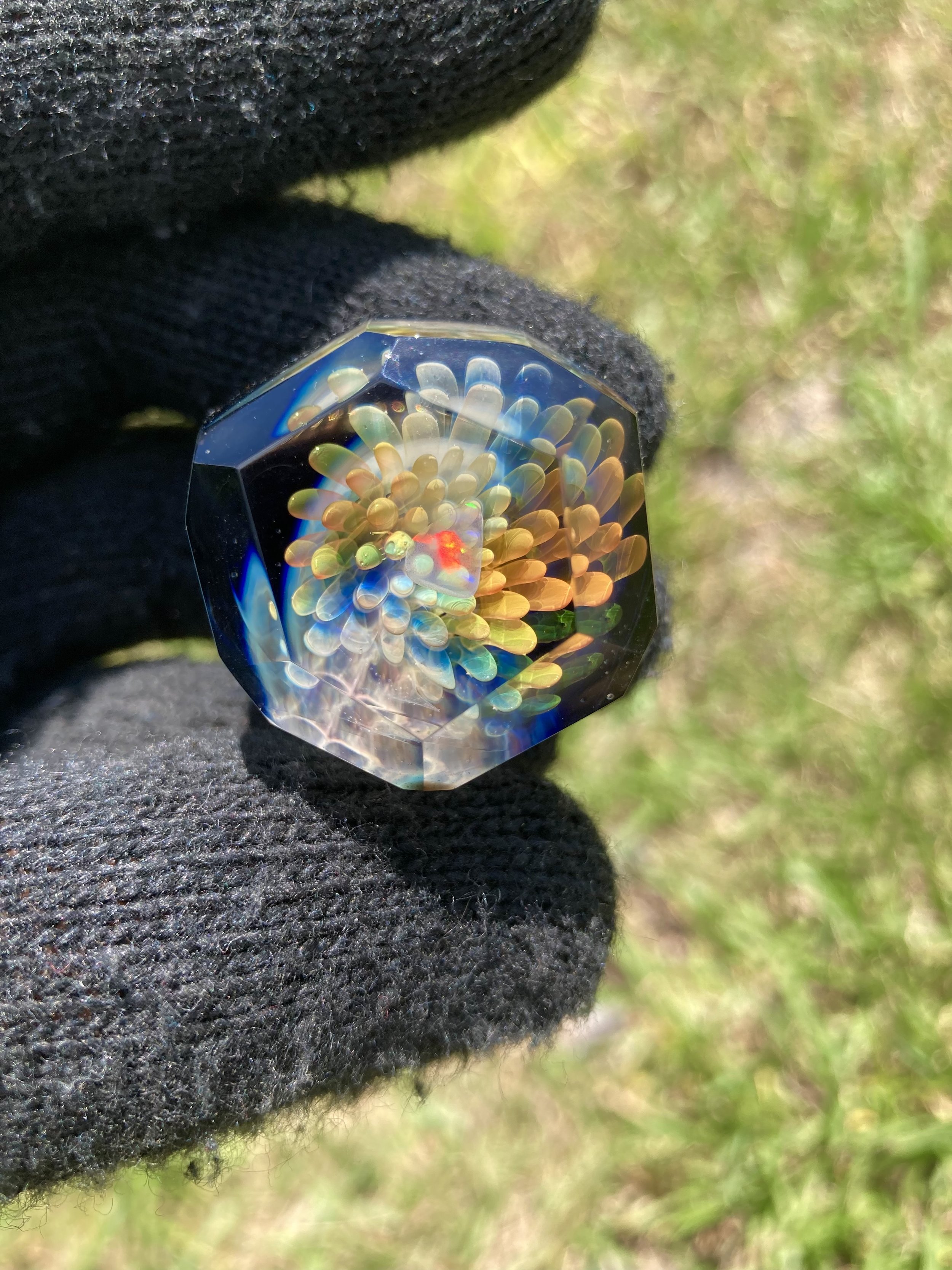 12C1C192-98AA-4E36-ADD5-C57C47E0ED23.jpeg