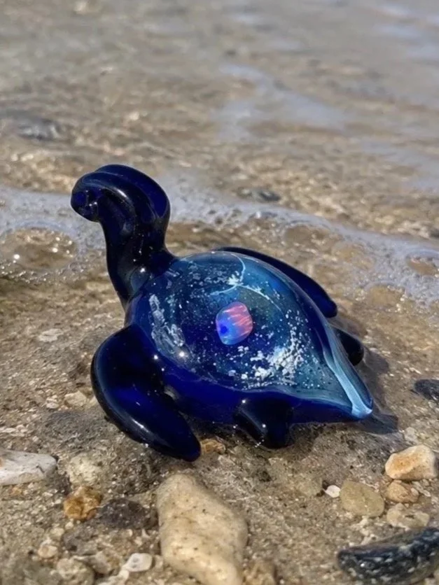 Carrying Dreams Forward: The Story of the Traveling Turtles 
