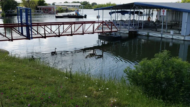 AF1QipOEFzXoLFeRs6Fv_ty3B-2tp5kgwmcDjamBpv5f=s644-k-no.jfif