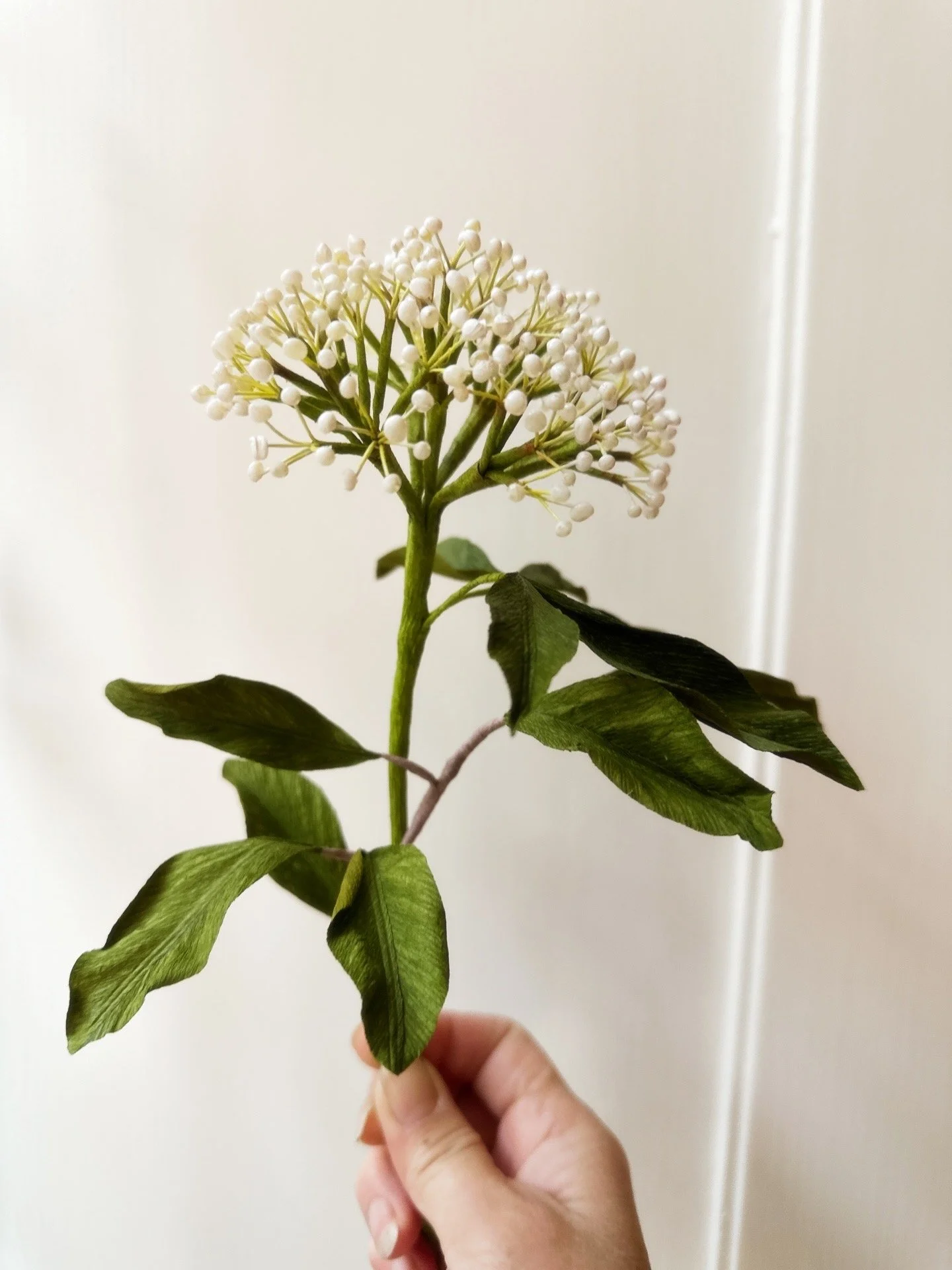 98D5CB94-45FE-4059-87C3-EF4B1BC58322 2.JPG