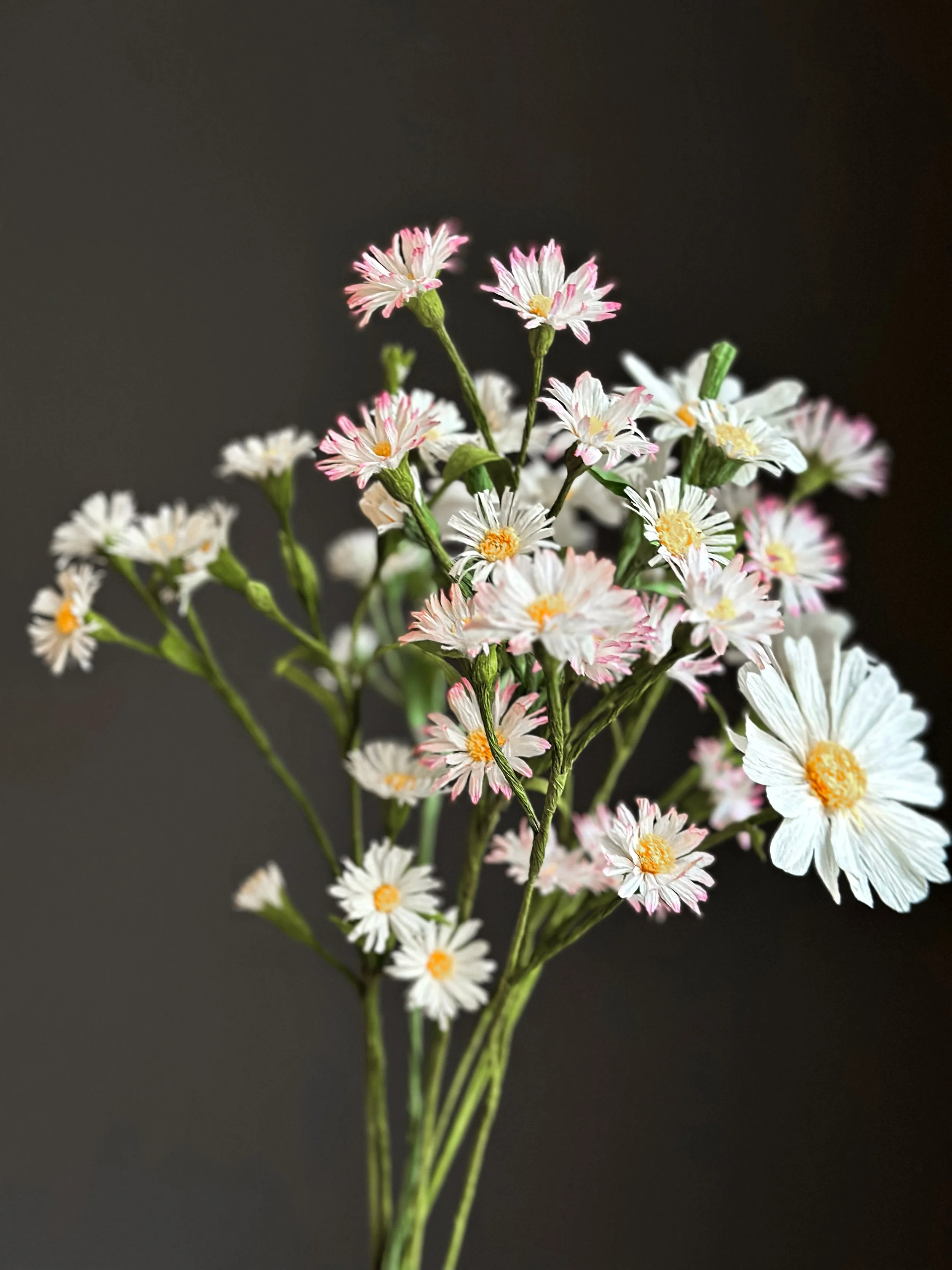 En buket med små hvide blomster med gule midter, nogle med pink kanter, mod en mørk baggrund.