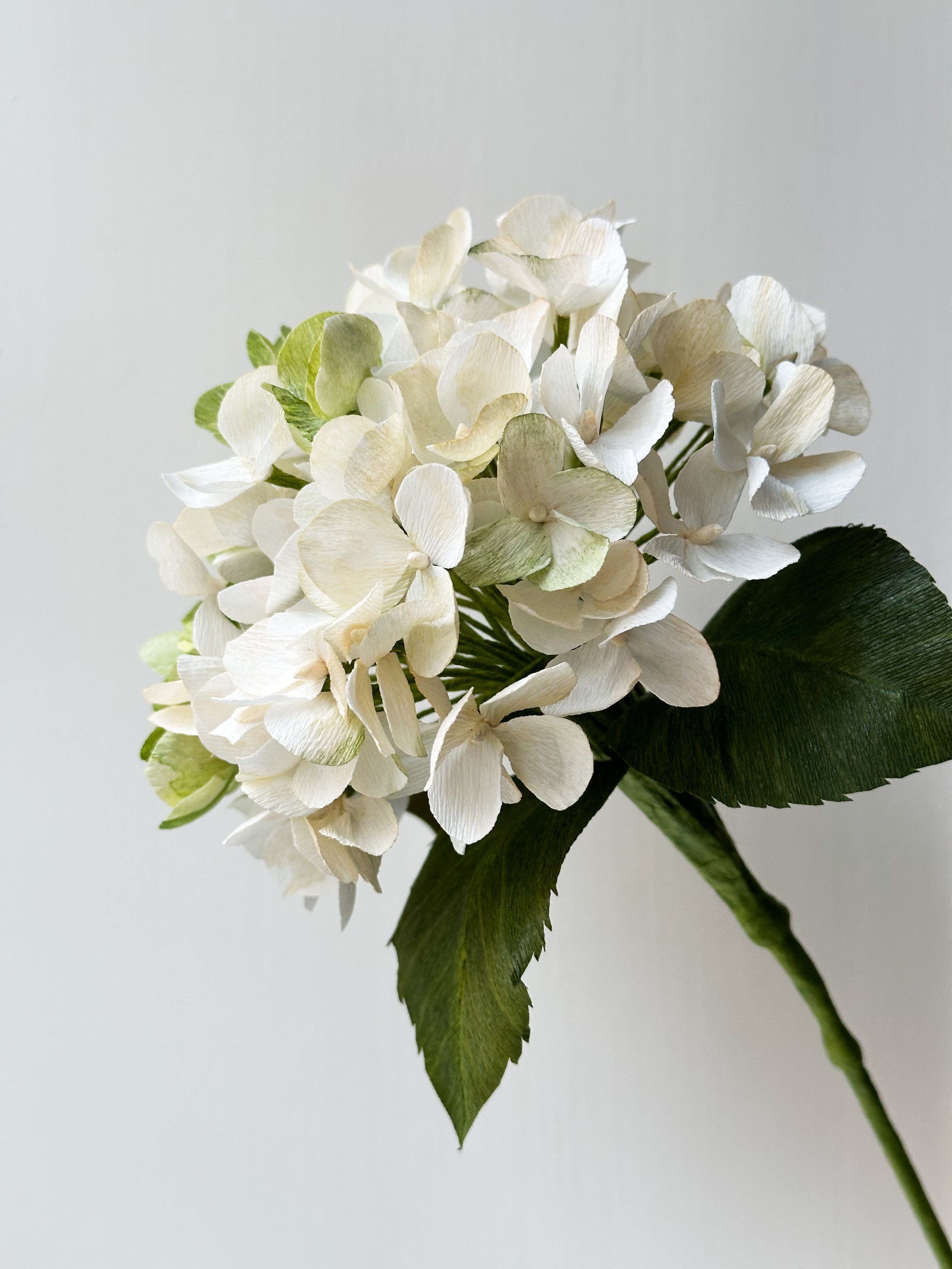 Hvid hortensia lavet af papir - papirblomster - doxaflowers
