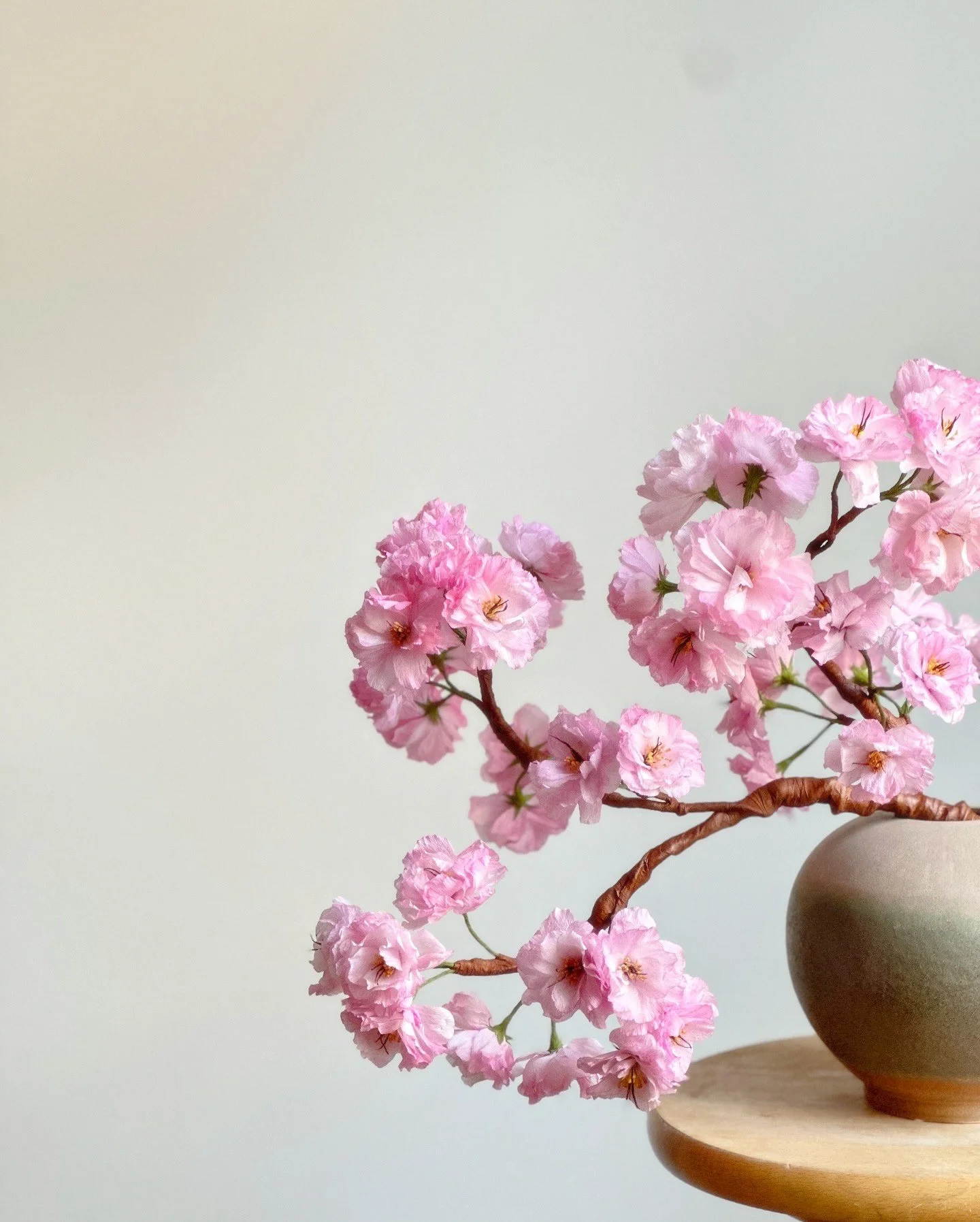 Japansk kirsebær kanzan af papir