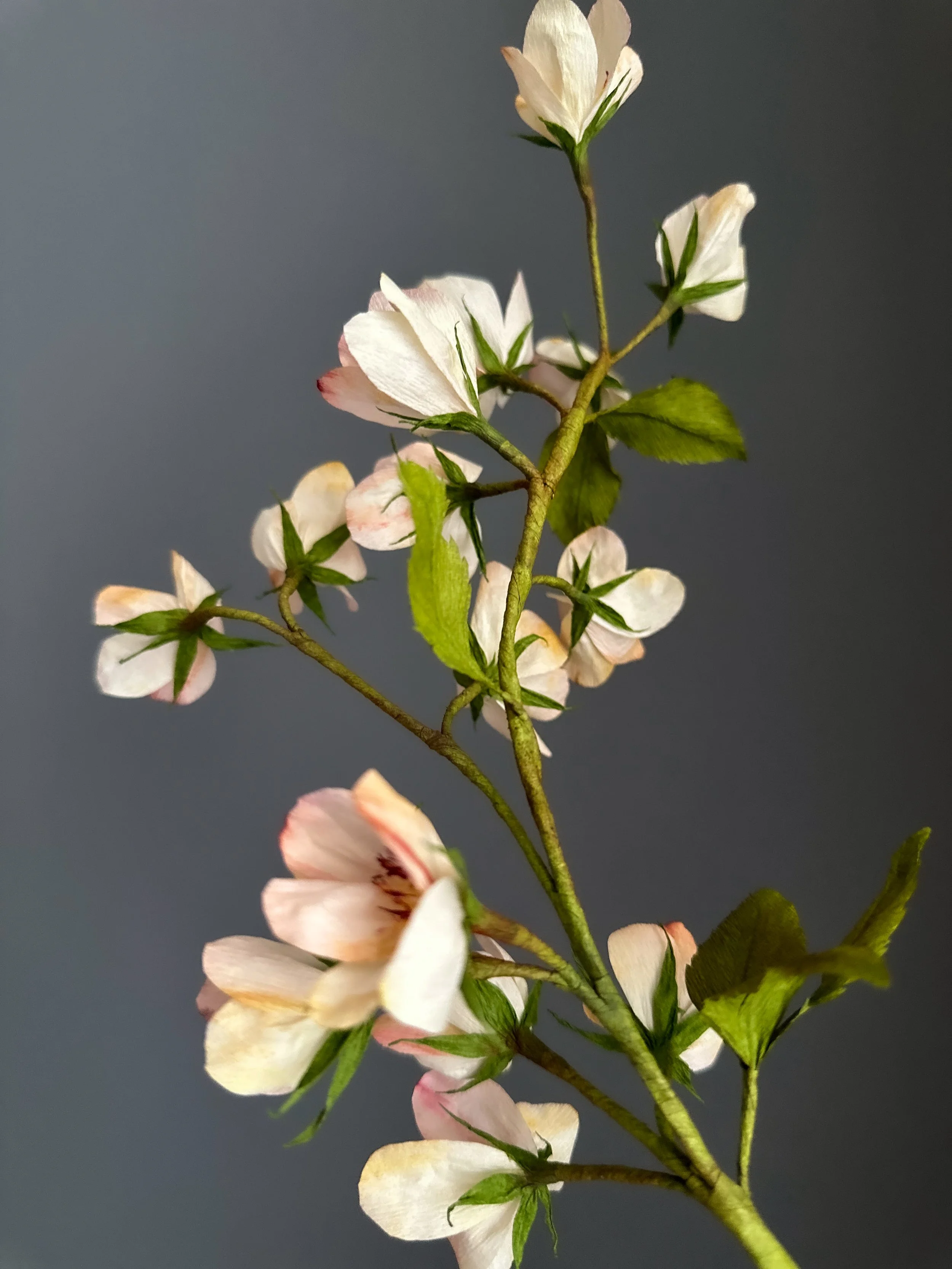 Roser af papir - unika