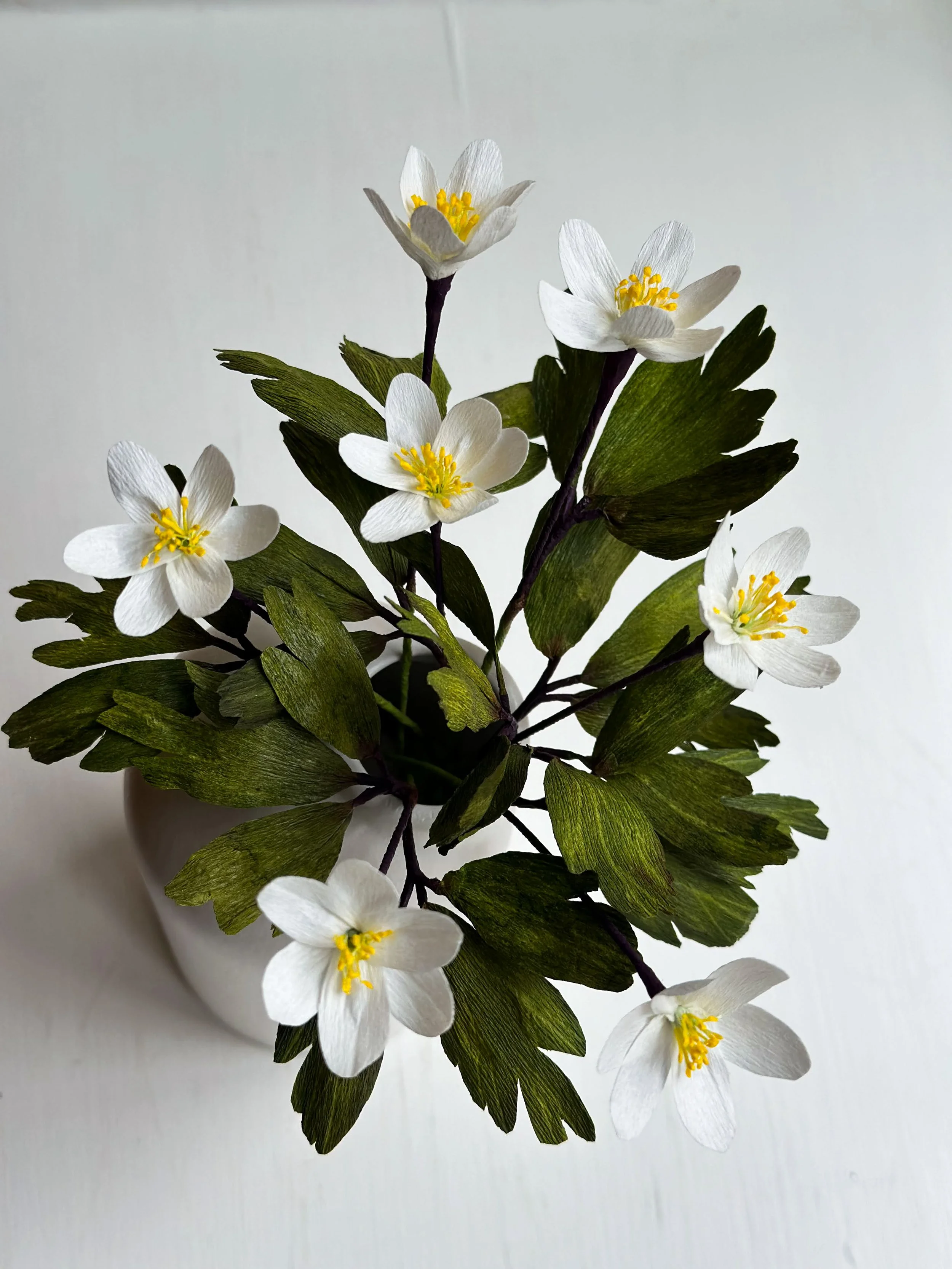 Hvid blomster med gule støvdrager i en gryde