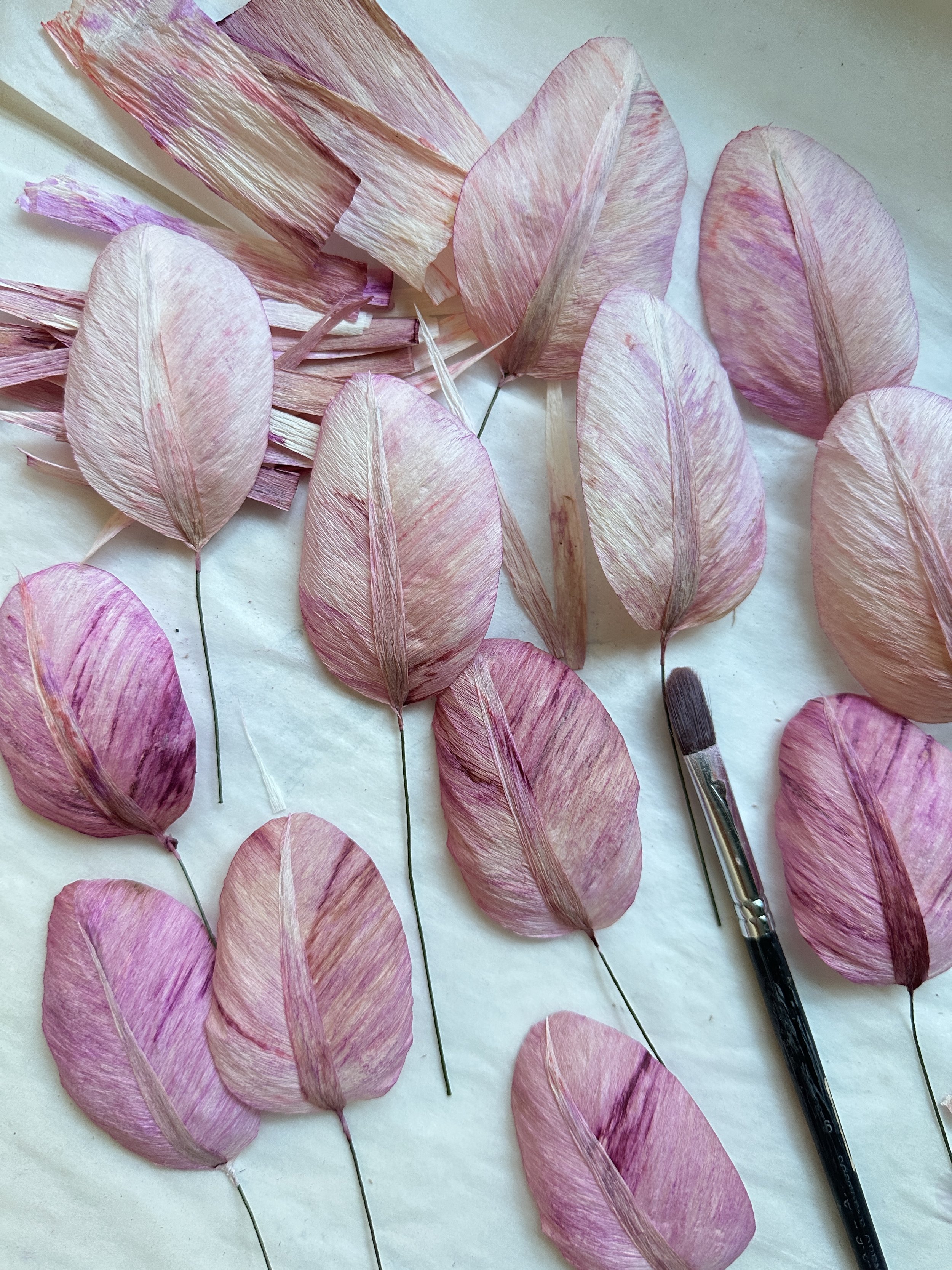 Kronblade til tulipaner