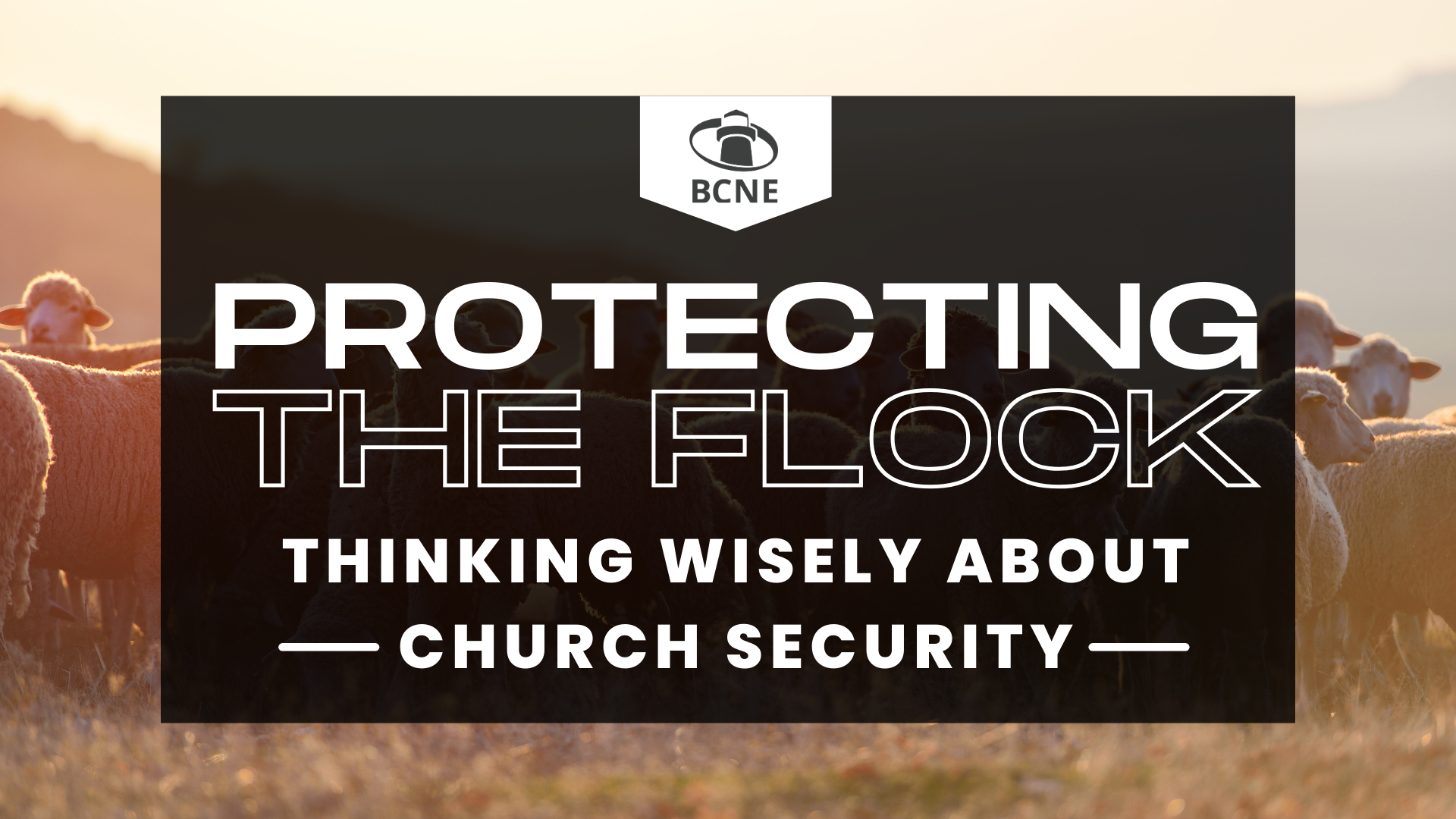 Protecting the Flock: Thinking Wisely About Church Security (FREE WEBINAR)