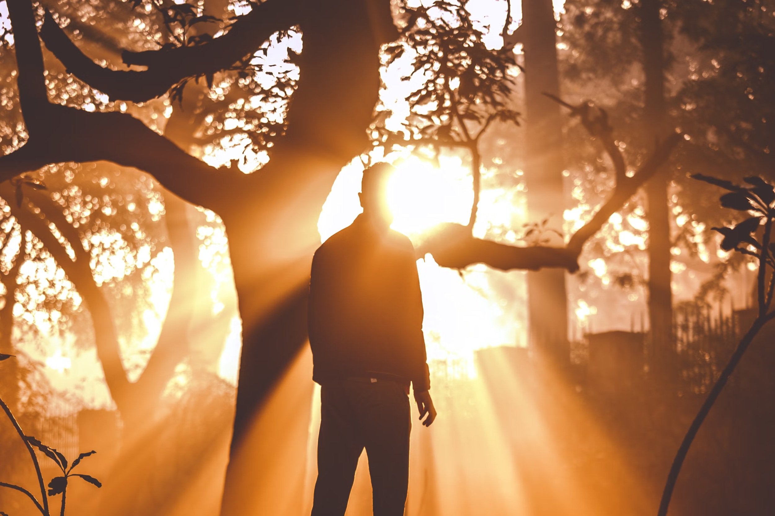 The Catalytic Leader: A New Vision for New England's Churches