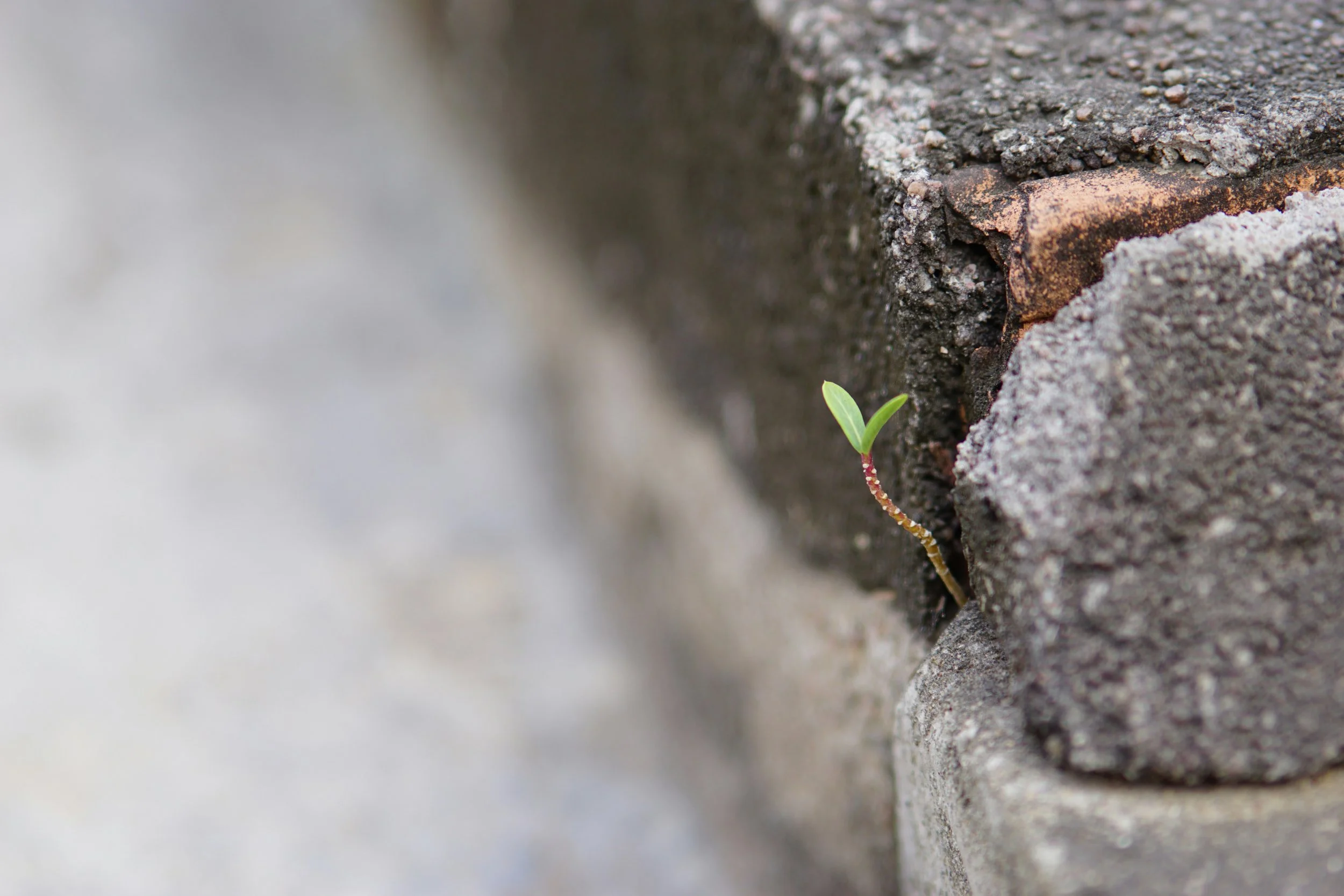 Turning Conflict Into Your Greatest Asset 