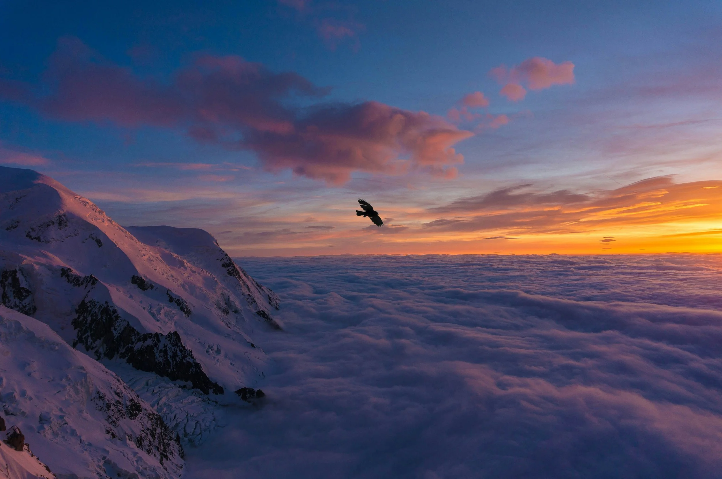 Success Is In The Surrender