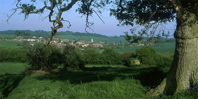 Bere Regis overview with tree copy.jpg