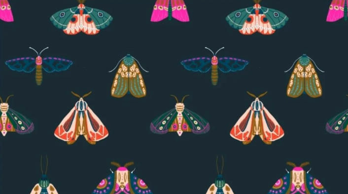 THE CORNER STORE: Abby Jacobs