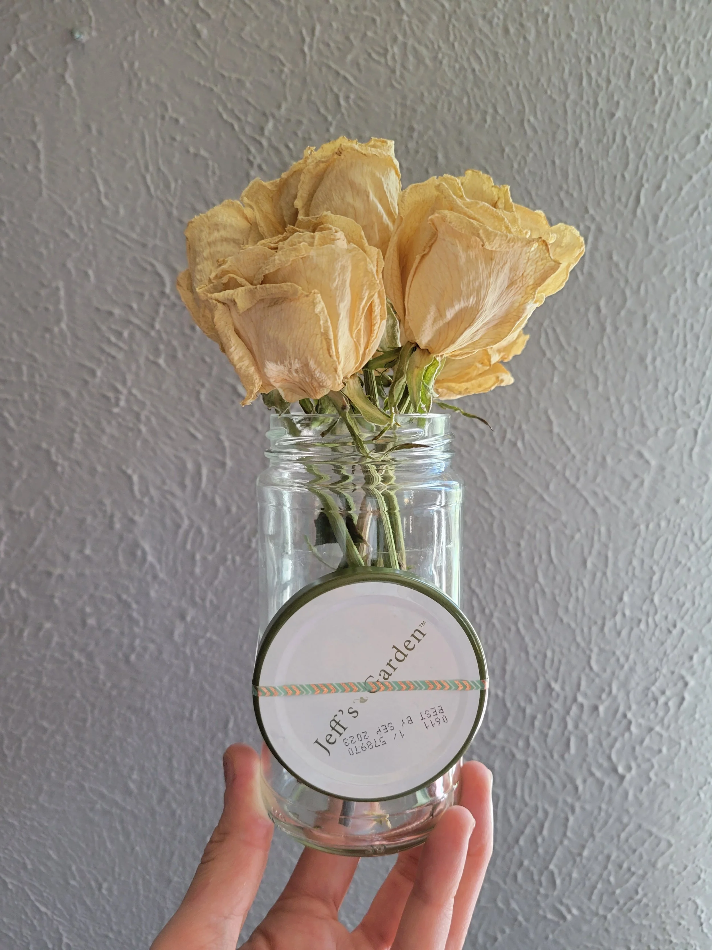 Sustainable September