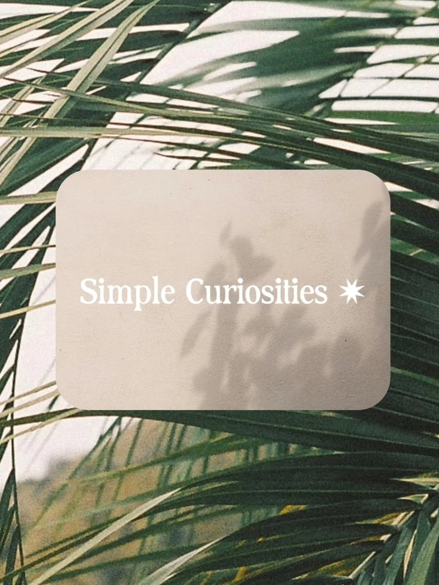 I'm excited to share something I've been working on! ✨️

For years, I've wanted a space to dive deeper into the things that light me up ~ mindful living, beautiful spaces, nourishing food, thoughtful style, nature, connection, art, and all the little