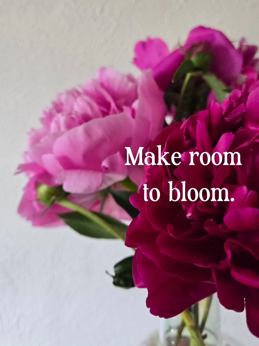 Making space isn't about getting rid of everything. It's about keeping what matters and releasing what doesn't.

My challenge for YOU this weekend:

Pick a small space. A shelf, bathroom cabinet, your car, coat closet, desktop clutter...even your dig