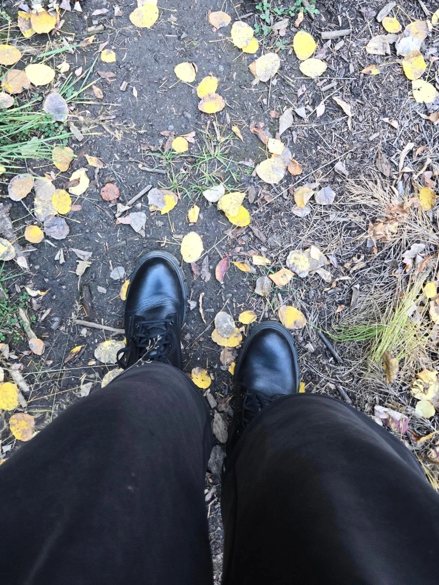 Fall things. 🤎

1-2: Peeping some leaves. 🍂
3: Dolly. 🐤
4: Did you know there's a bigfoot museum in Bailey, CO?
5: Dinner with family (my Dad even ate tofu!!)
6: Wash Park perfection.
7: Let's go fly a kite...
8-11: SF.
12: Birthday girl! @soulshi