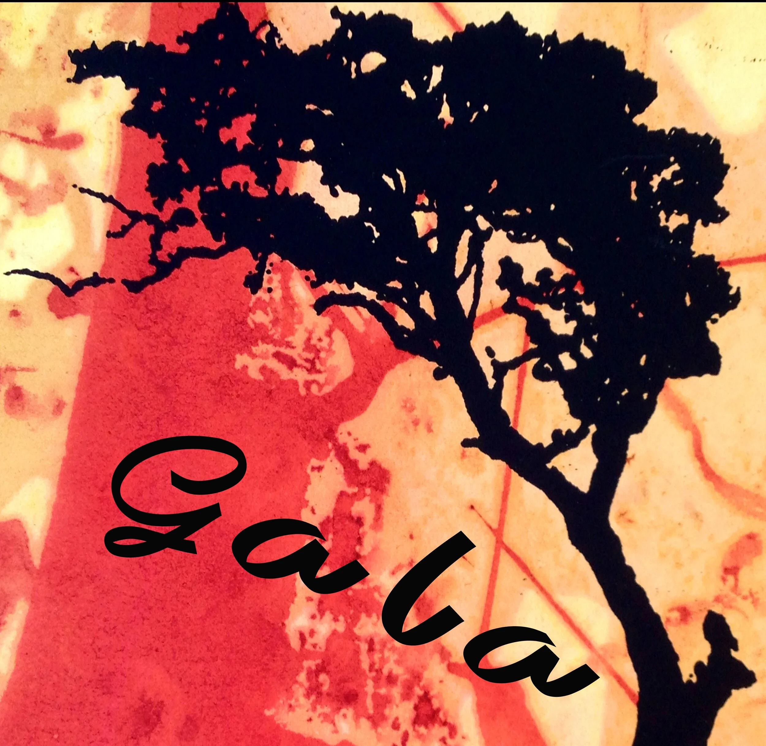 10th Annual Gala Tickets Go On Sale Today