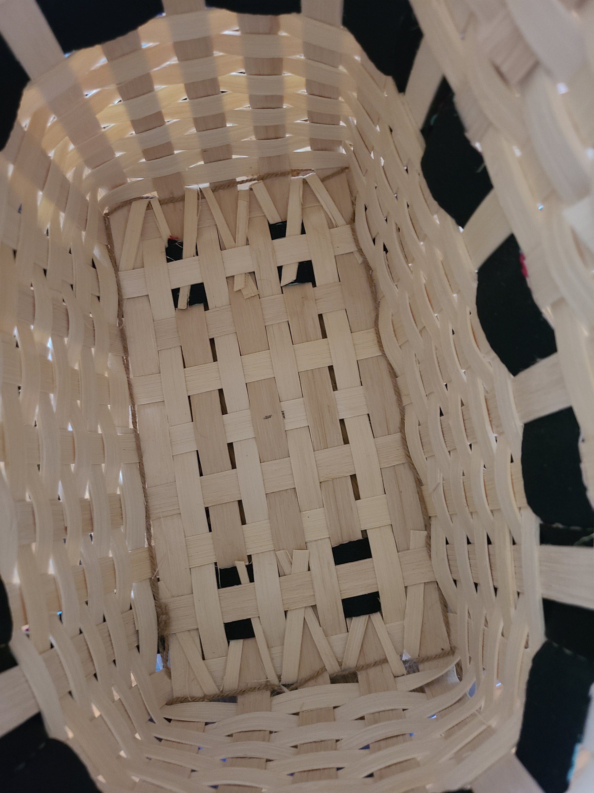 20250217_110411.jpg