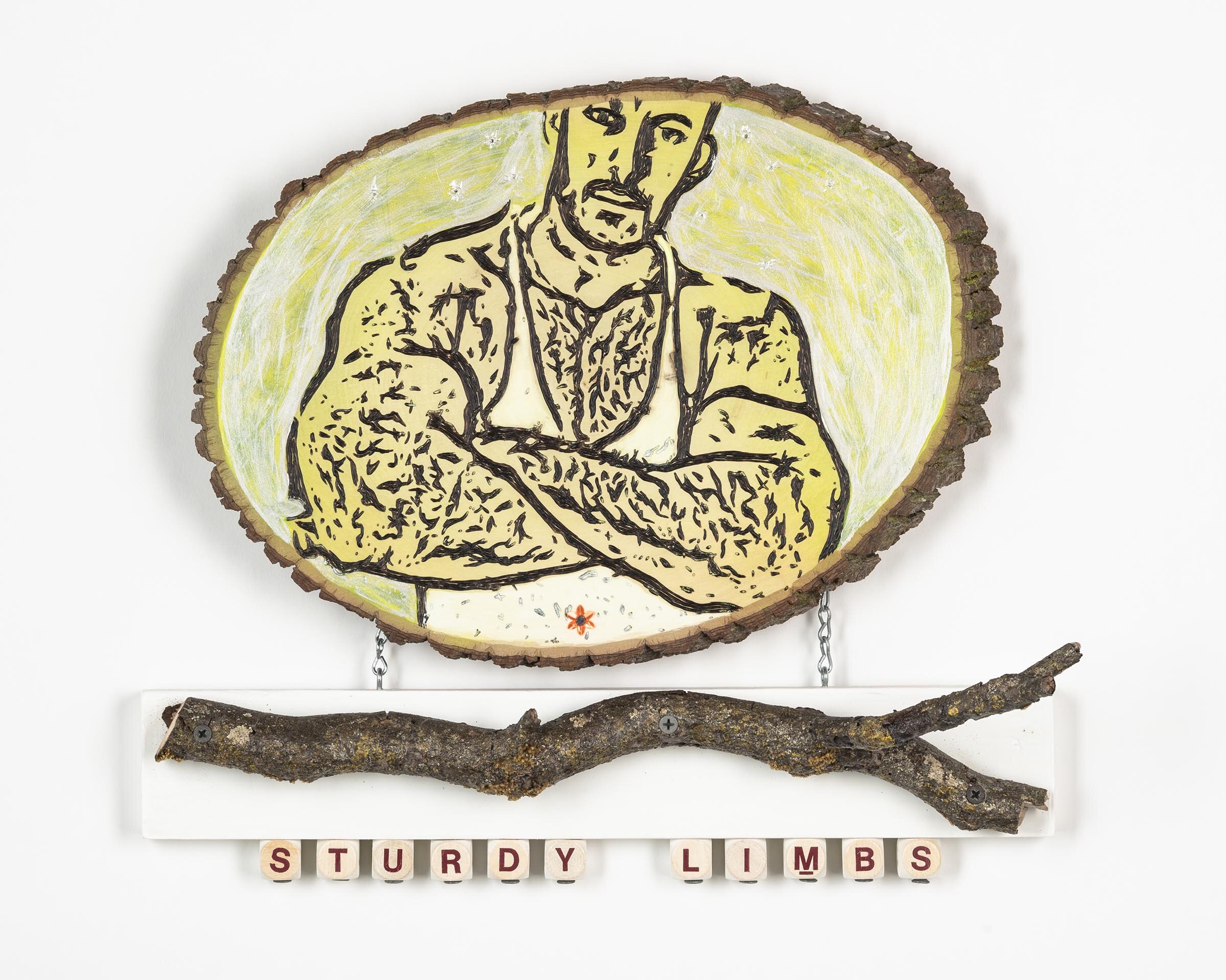 Tom Hill_Sturdy Limbs (2020). Mixed media assemblage with wood burning, 14” x 16”.jpg