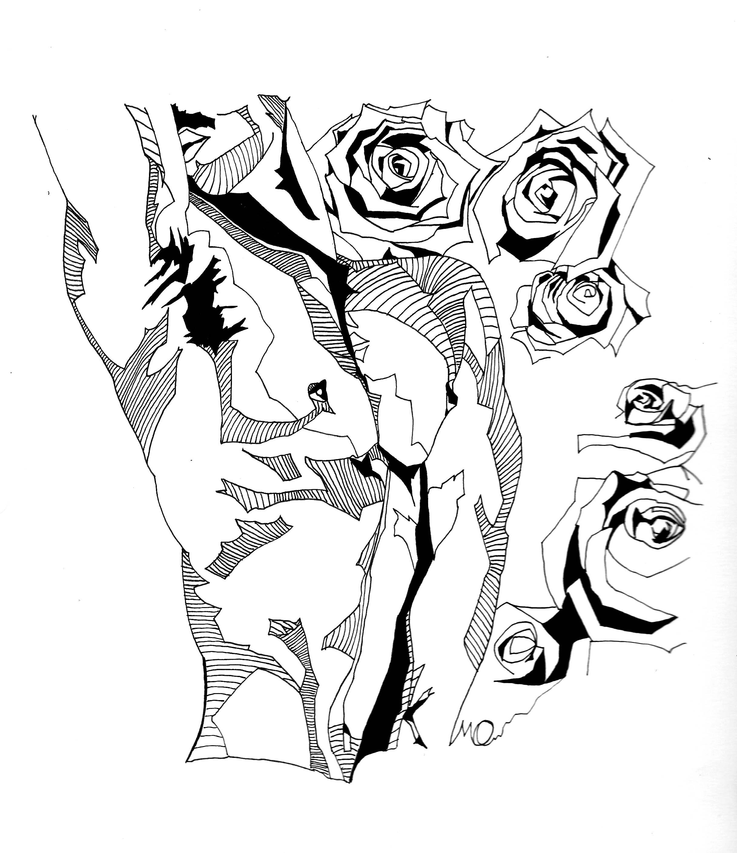 MisterOsborne_roses in bloom.jpg