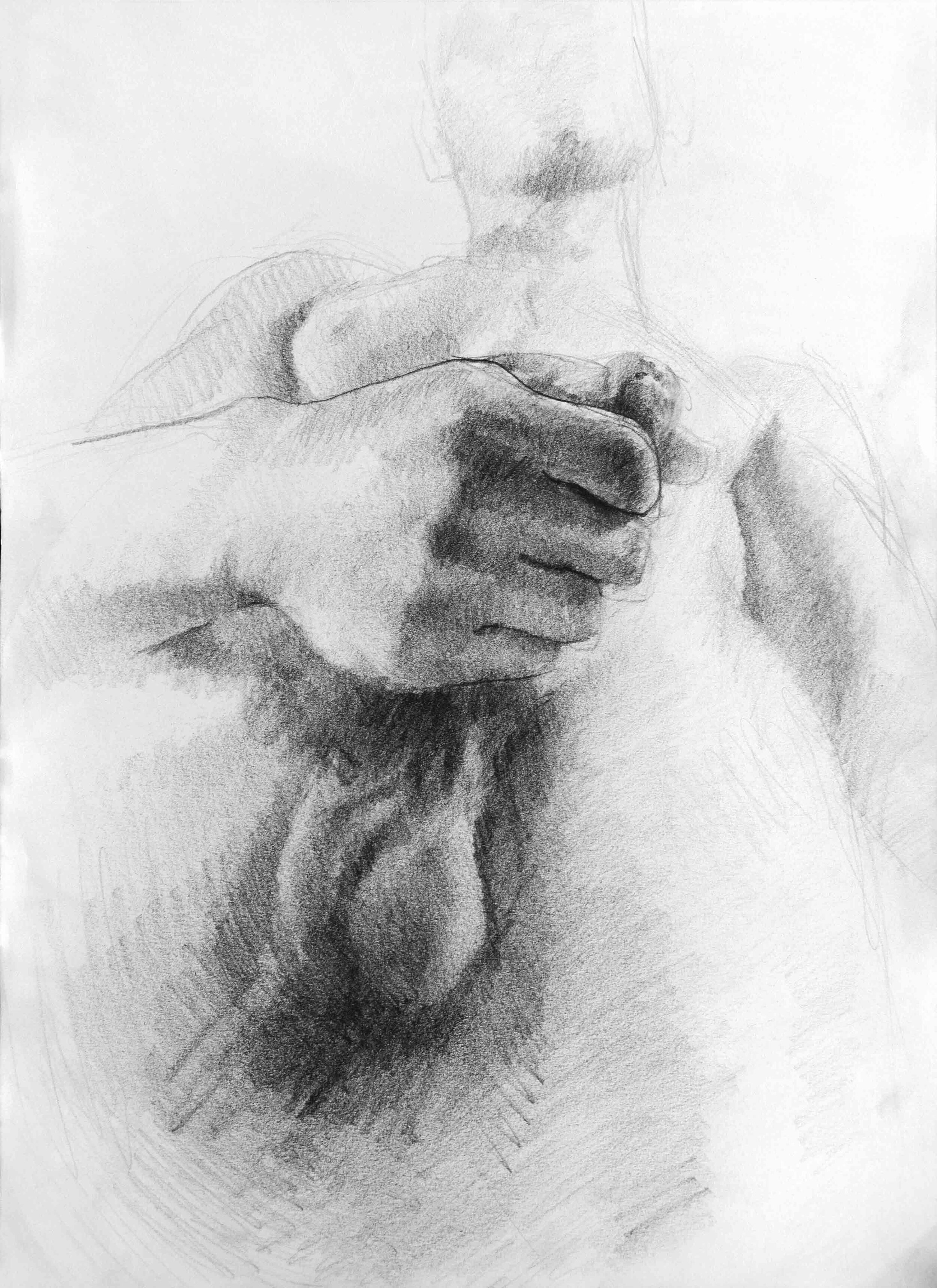 Jose Michelsen_05.jpg
