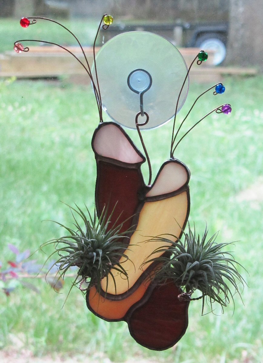 Jeffrey Moore_Penis Planter.jpeg