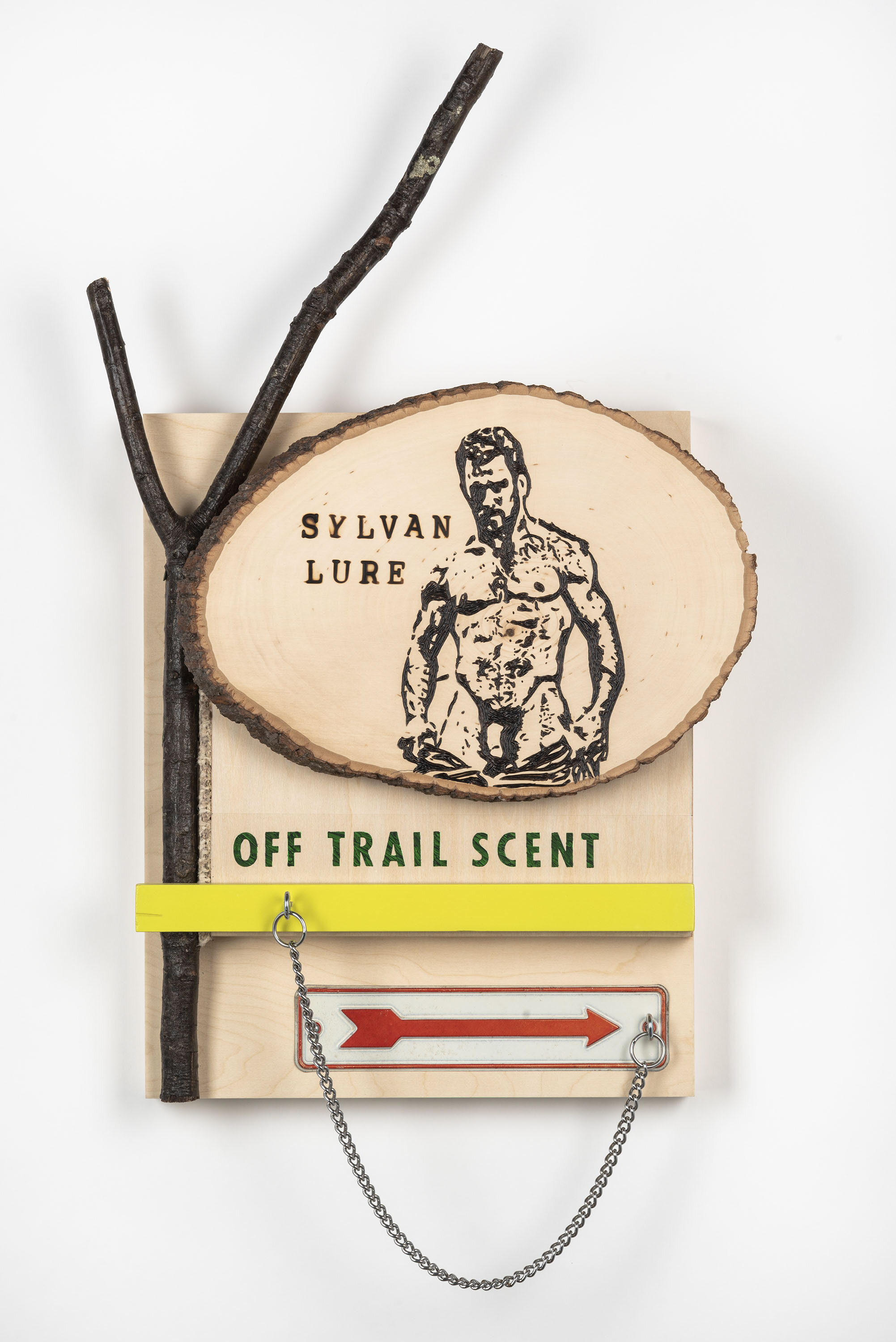 Tom Hill_Sylvan Lure (2020). Mixed media assemblage with wood-burning 28” x16”.jpg