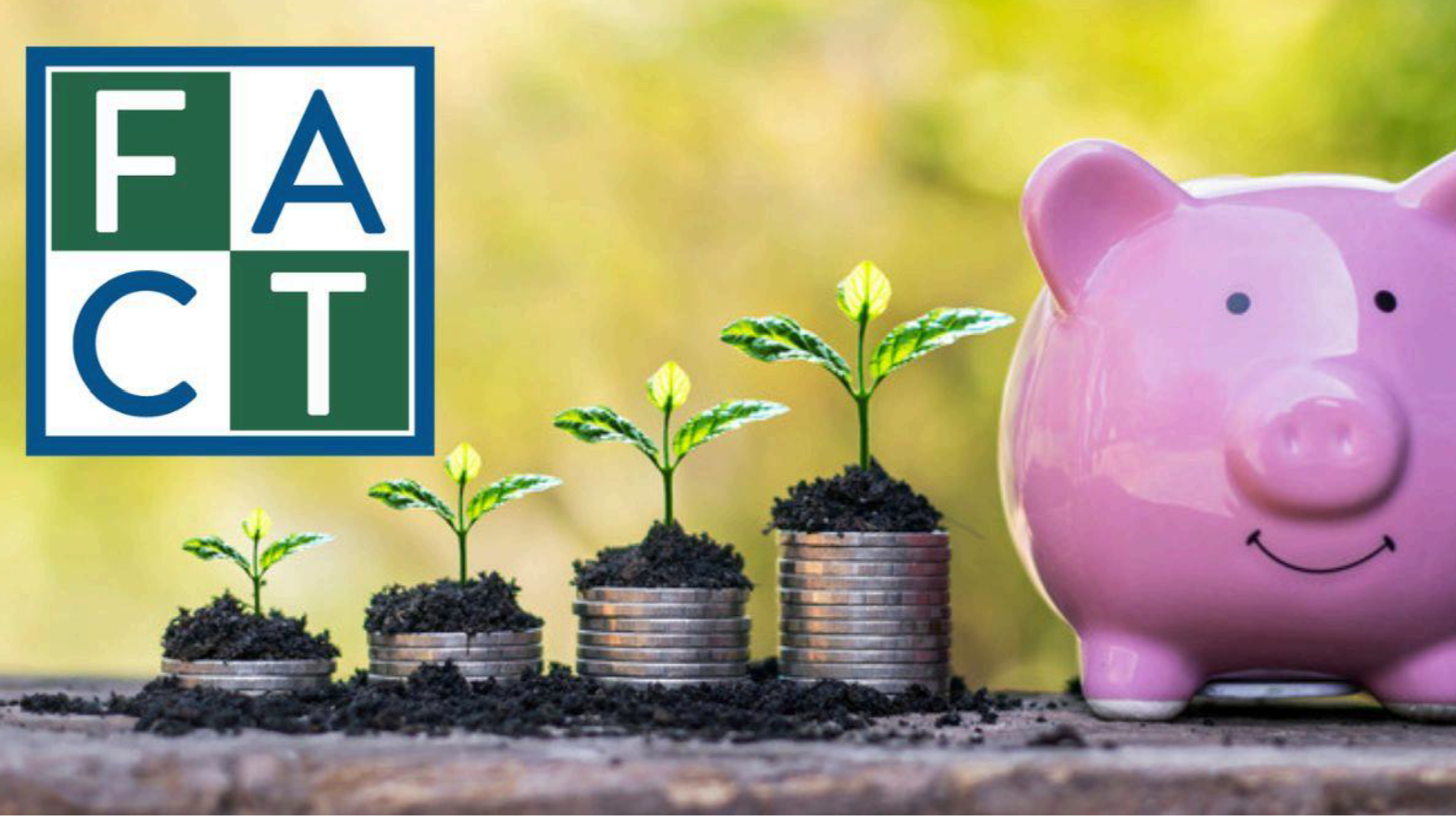 Money Skills No Limits (6 sessions)