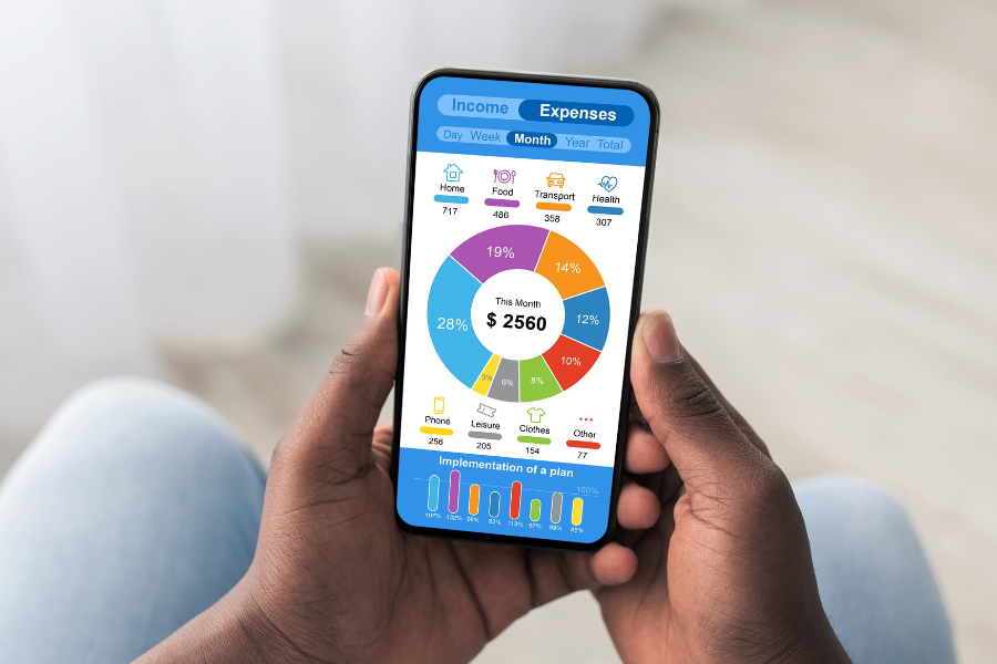 Money Skills No Limits: Budgets and Tracking, Credit and Debt