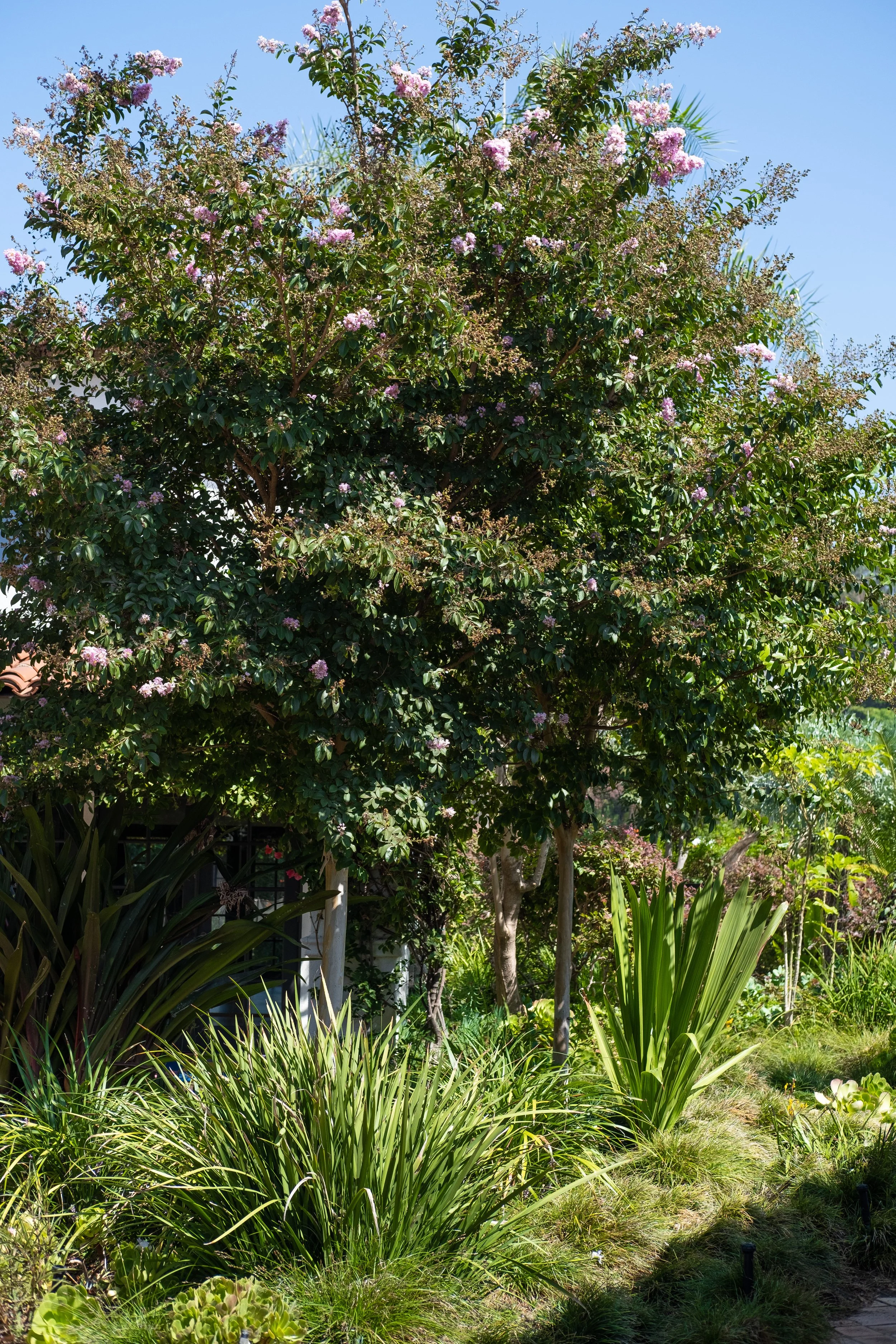 Inside Emilie Goldblum and husband Jeff Goldblum's Los Angeles home.