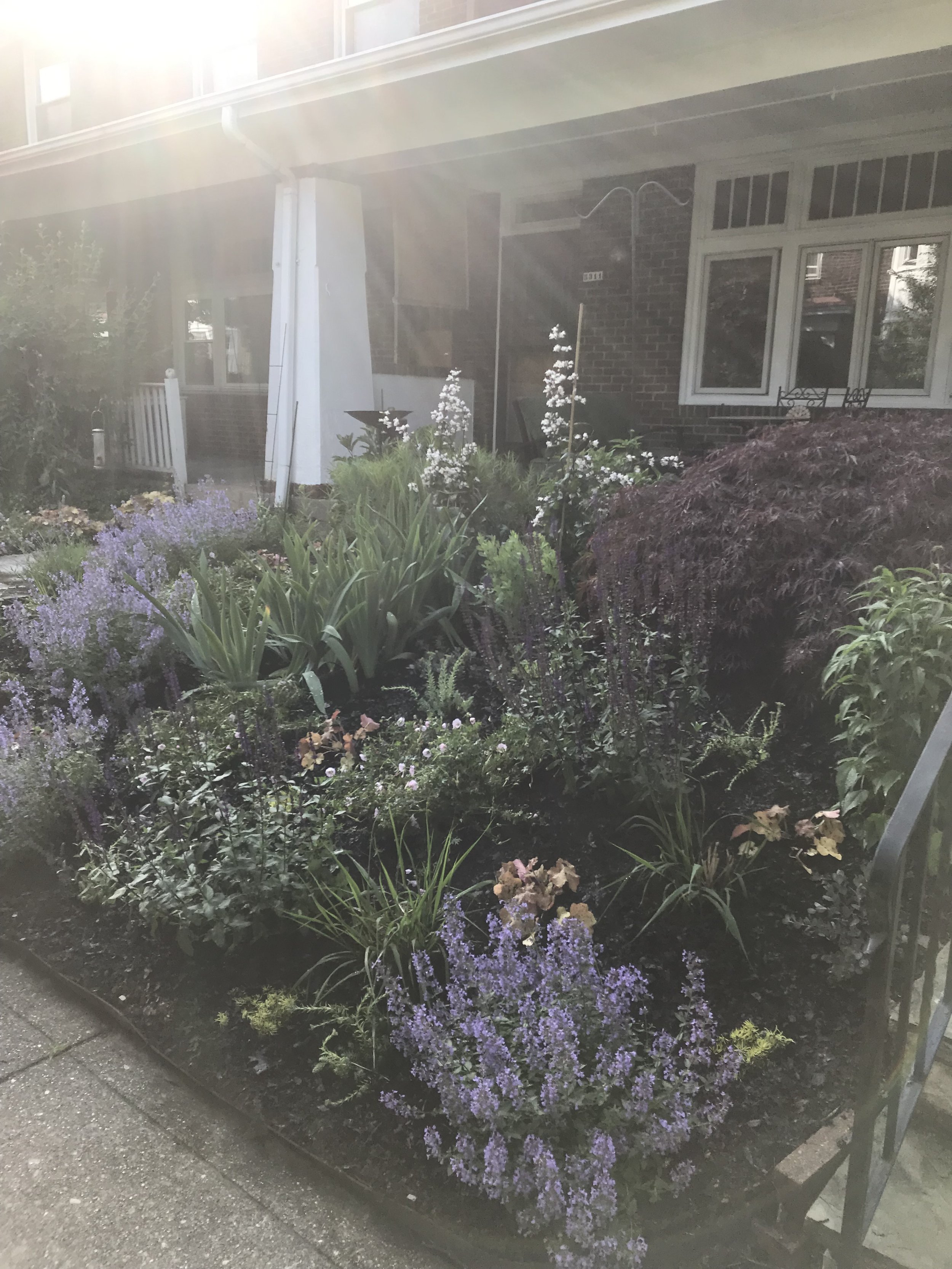 IMG_1025.jpeg