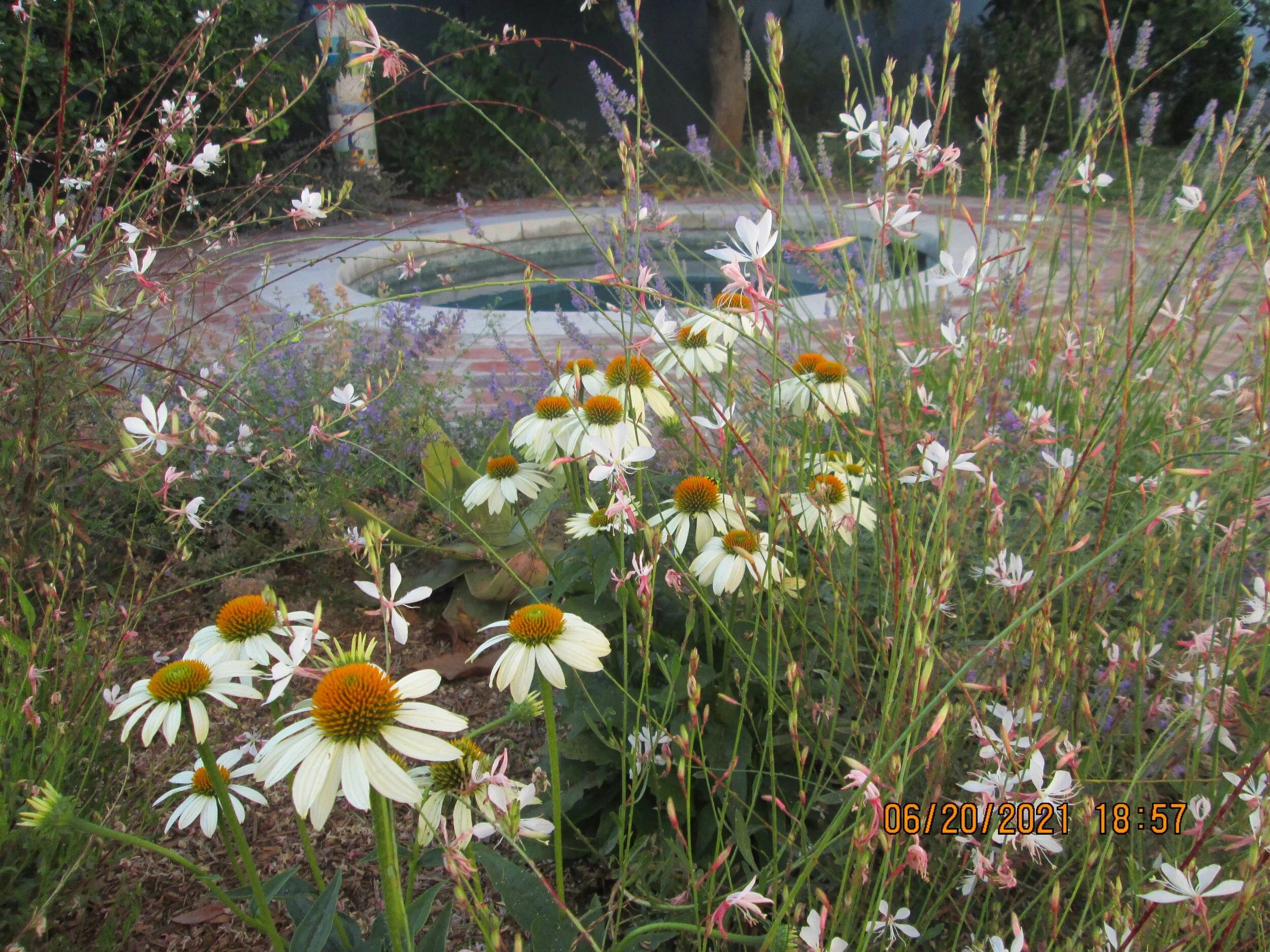 Digital/
June 20, 2021/
Beverly Hills, CA