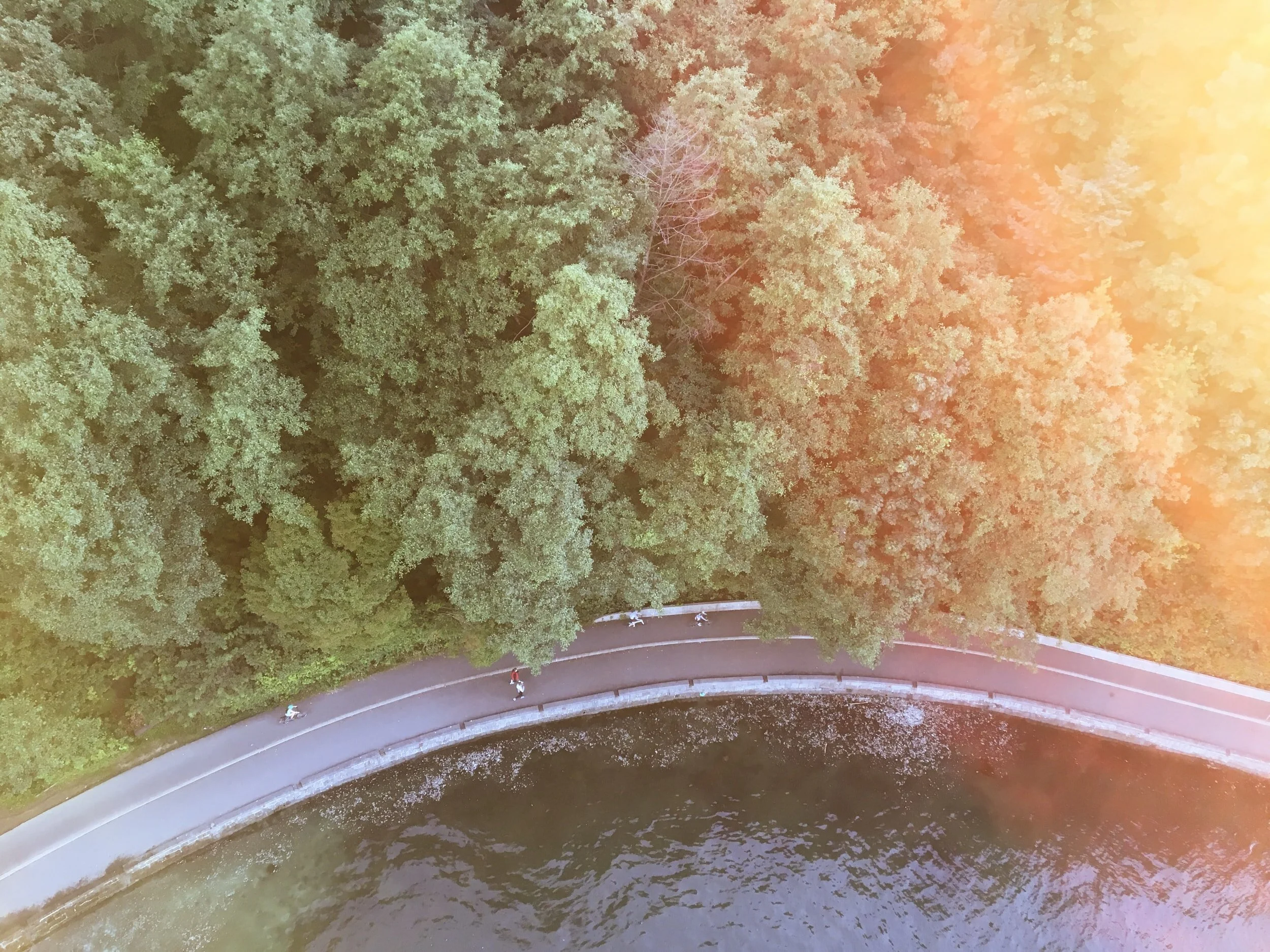 Aerial view of a tree-lined path and a body of water with people walking and cycling.