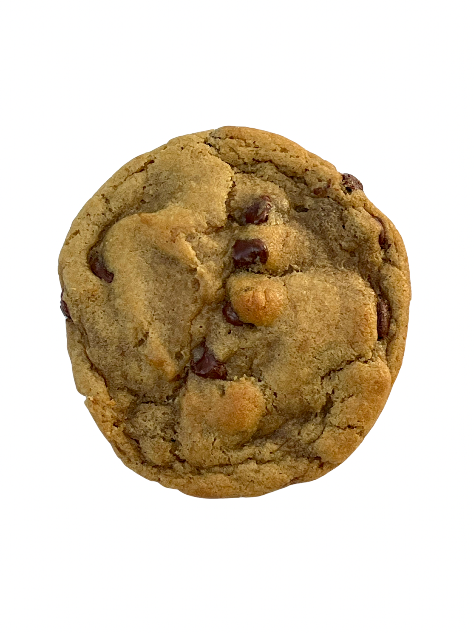 77AB5CBF-9EF2-4D8D-9C9C-08B41BDC7429.png (Copy)