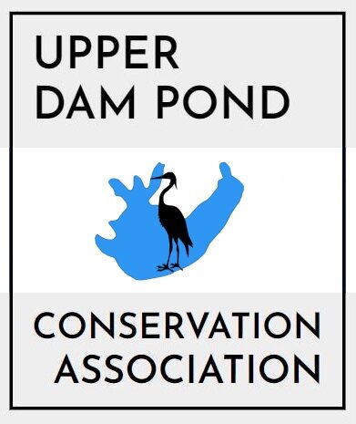 Upper Dam Pond Conservation Association