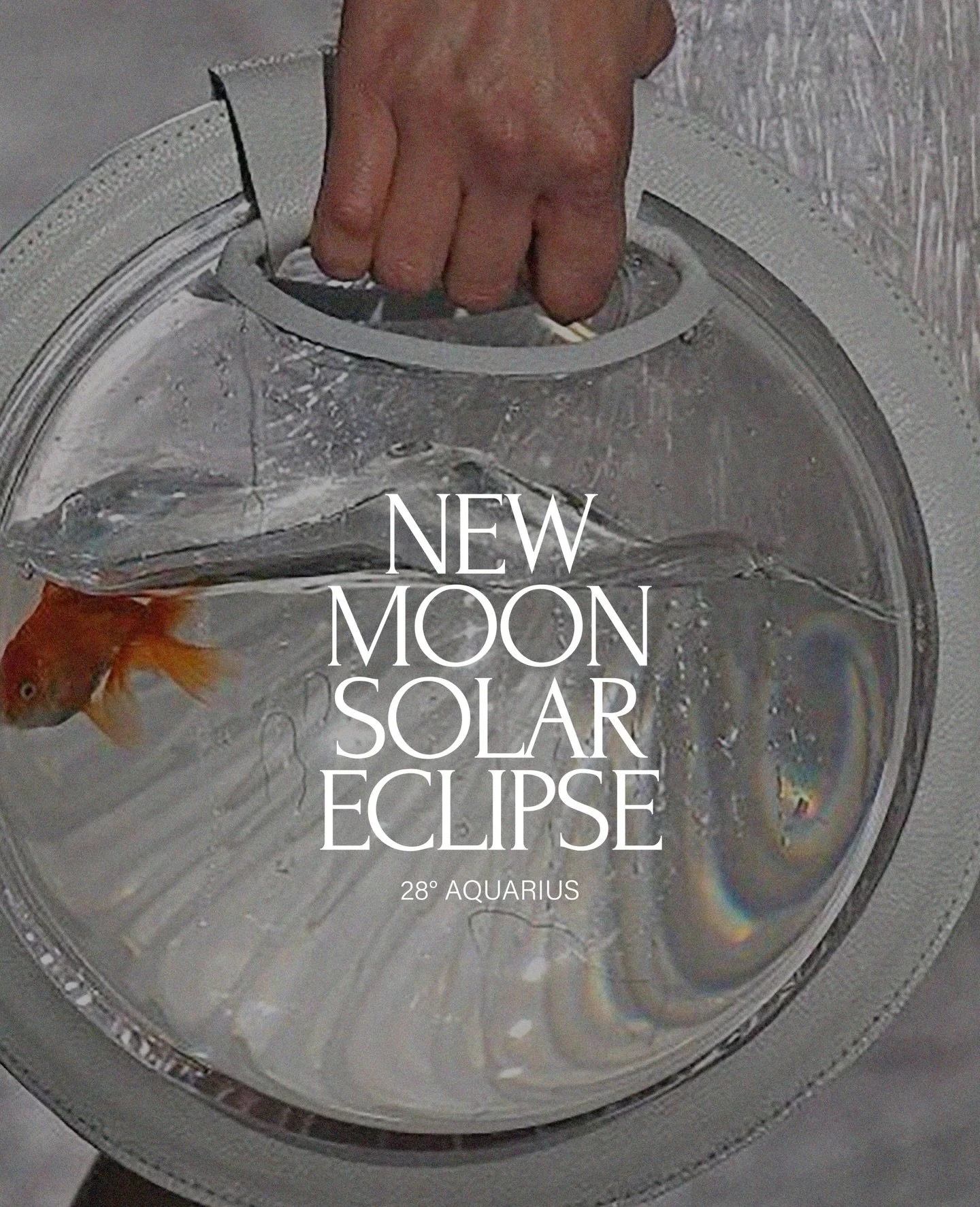 NEW MOON SOLAR ECLIPSE / 28 degrees Aquarius

FEED YOUR HEAD.
FREE YOUR SPIRIT.

Feels like the brain is opening. Feels like spinning around in an electrical tornadoe. Feels like we&rsquo;re changing 

What was occurring during 2008/09?
Similar space